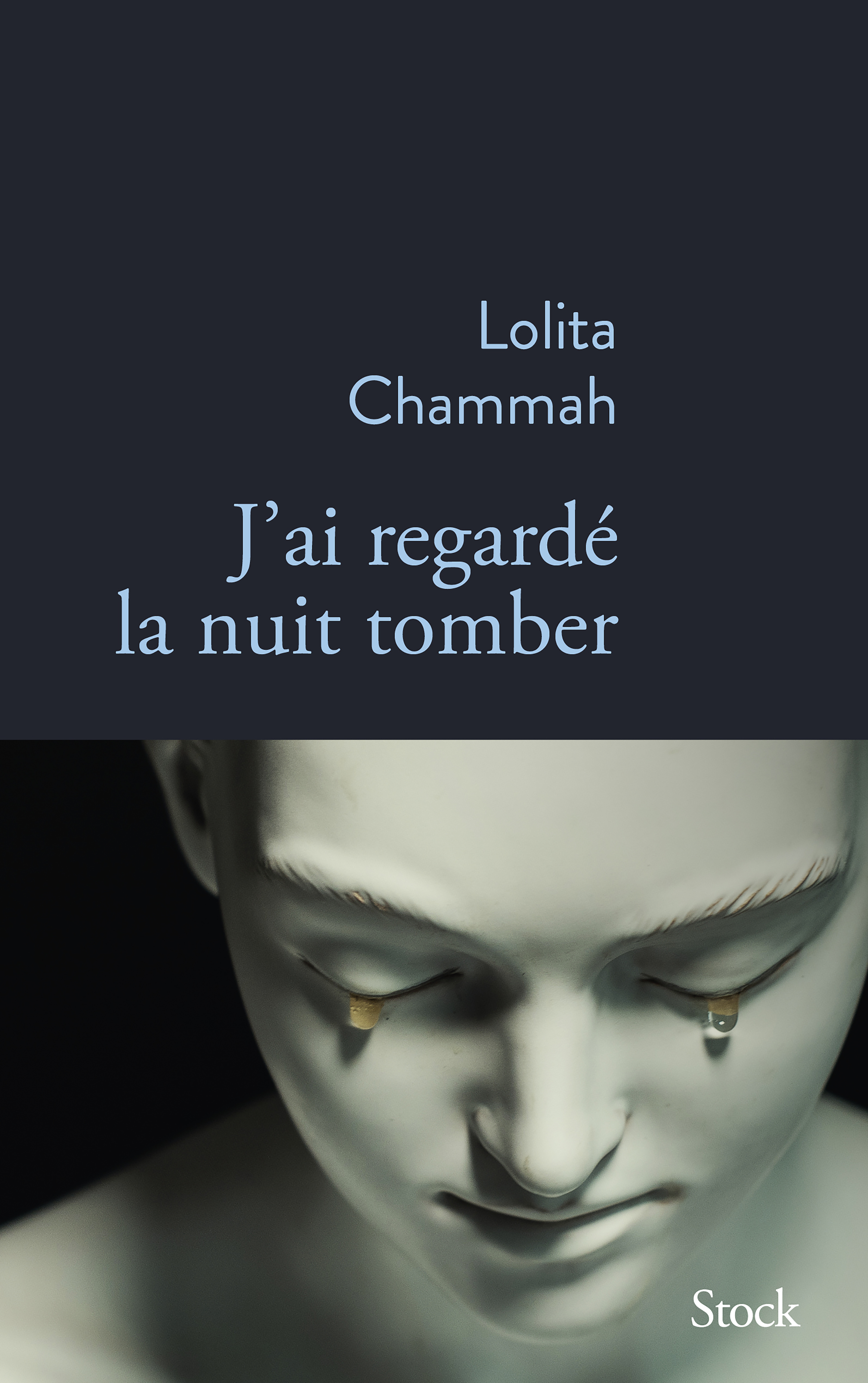 J´AI REGARDE LA NUIT TOMBER