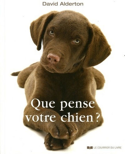 QUE PENSE VOTRE CHIEN ?