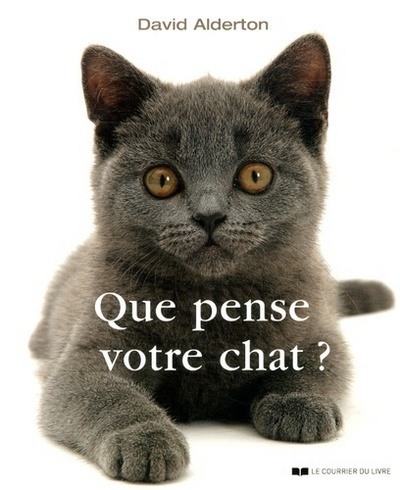 QUE PENSE VOTRE CHAT ?