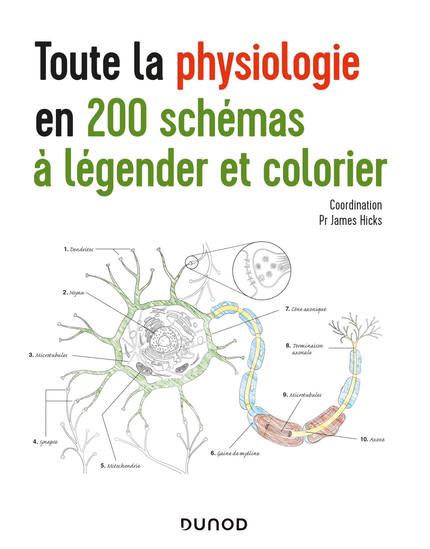 TOUTE LA PHYSIOLOGIE EN 200 SCHEMAS A LEGENDER ET COLORIER