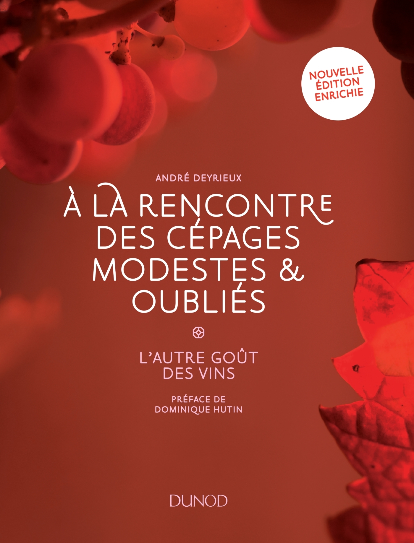 A LA RENCONTRE DES CEPAGES MODESTES ET OUBLIES - 2E ED. - L´AUTRE GOUT DES VINS
