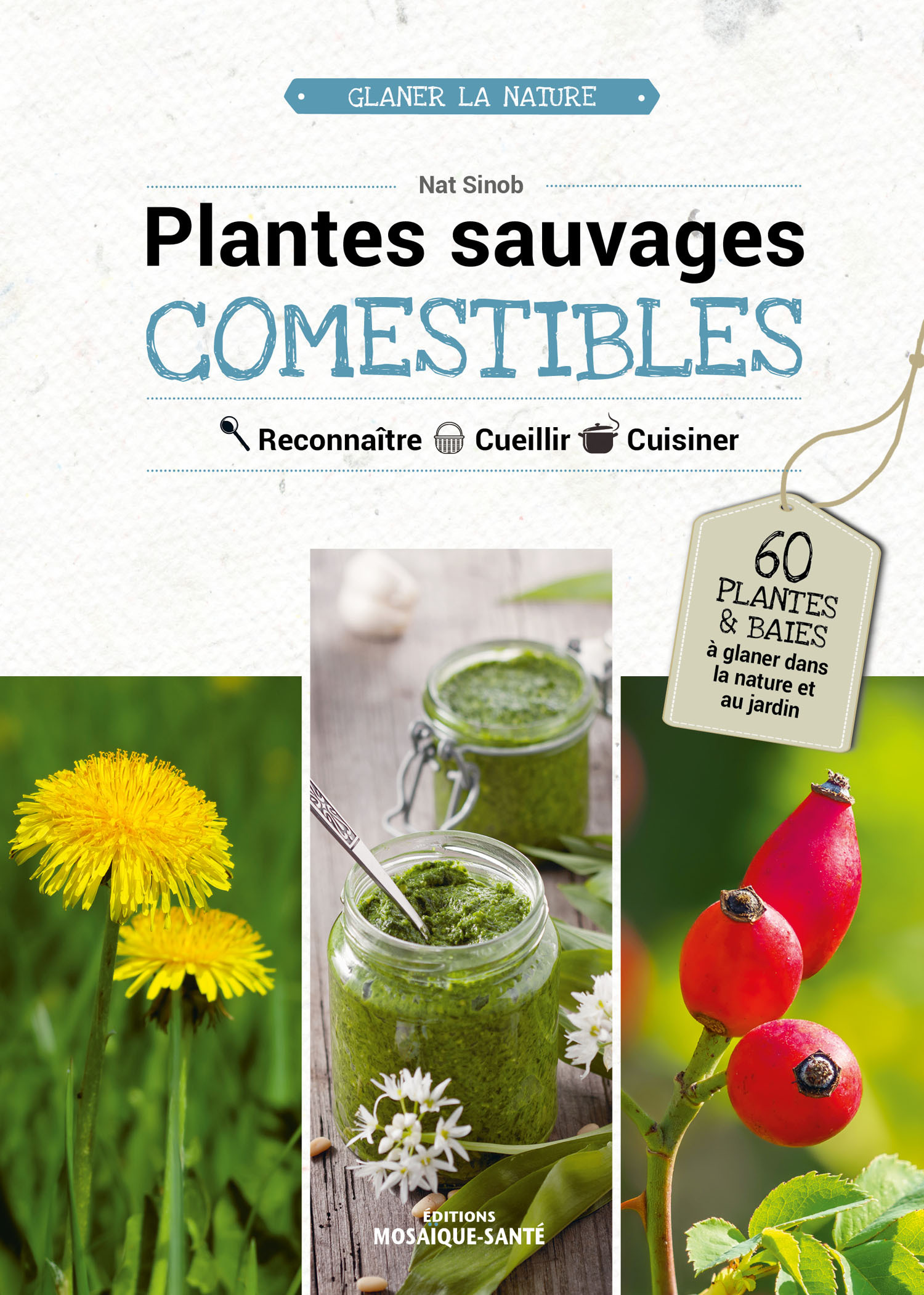 PLANTES SAUVAGES COMESTIBLES / GLANER LA NATURE
