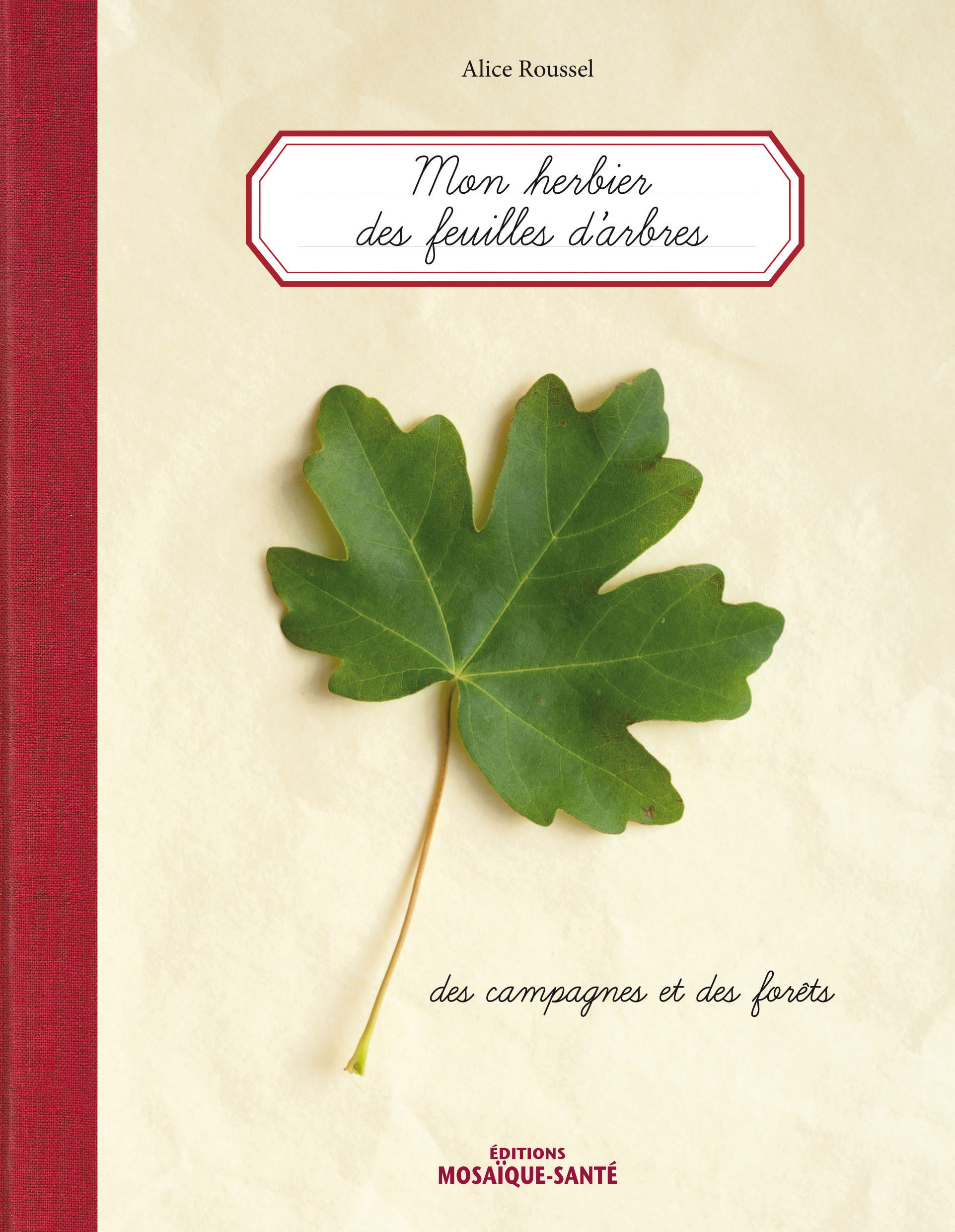 MON HERBIER DES FEUILLES D´ARBRES CAMPAGNES ET FORETS