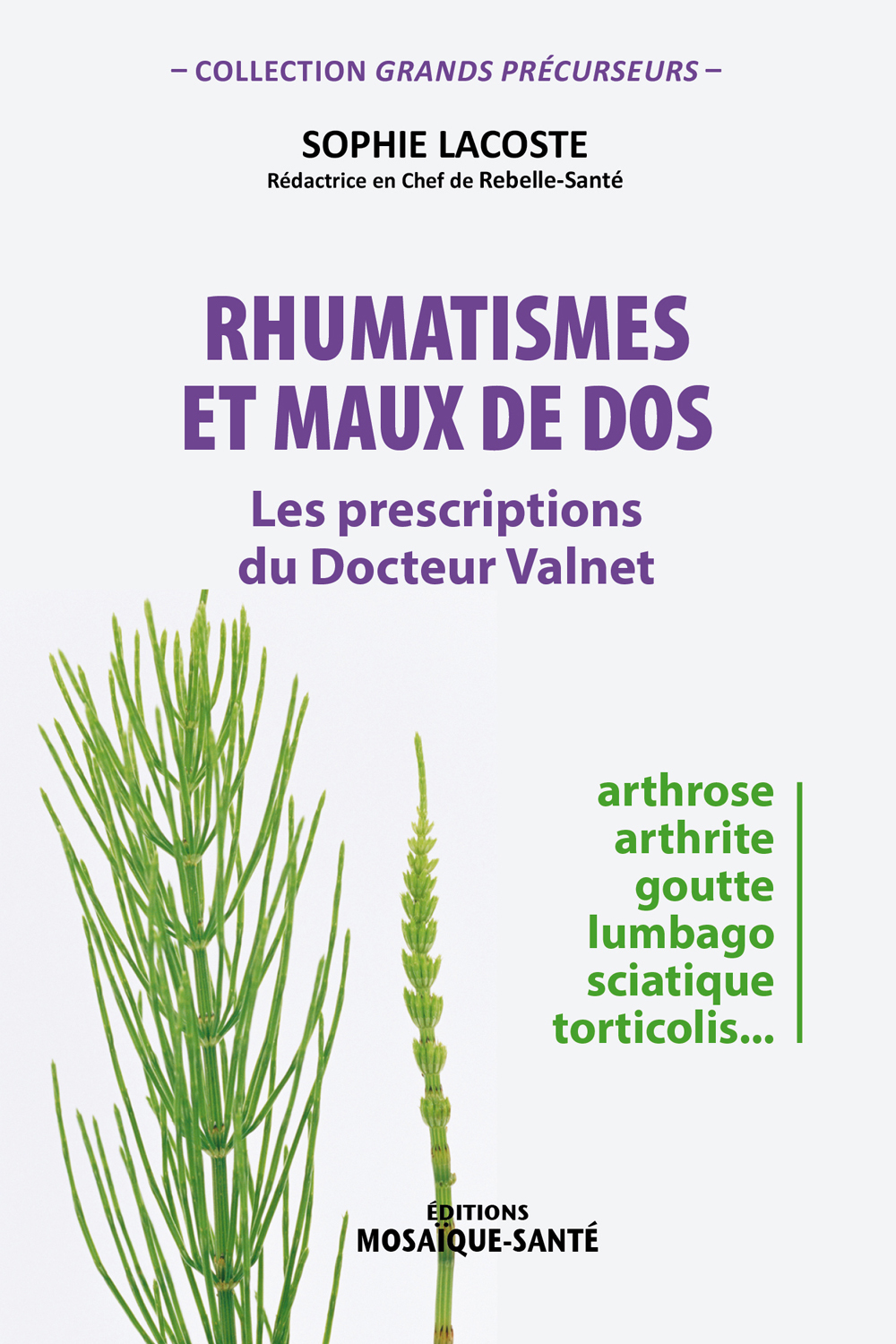 RHUMATISMES ET MAUX DE DOS , PRESCRIPTIONS DU DR VALNET
