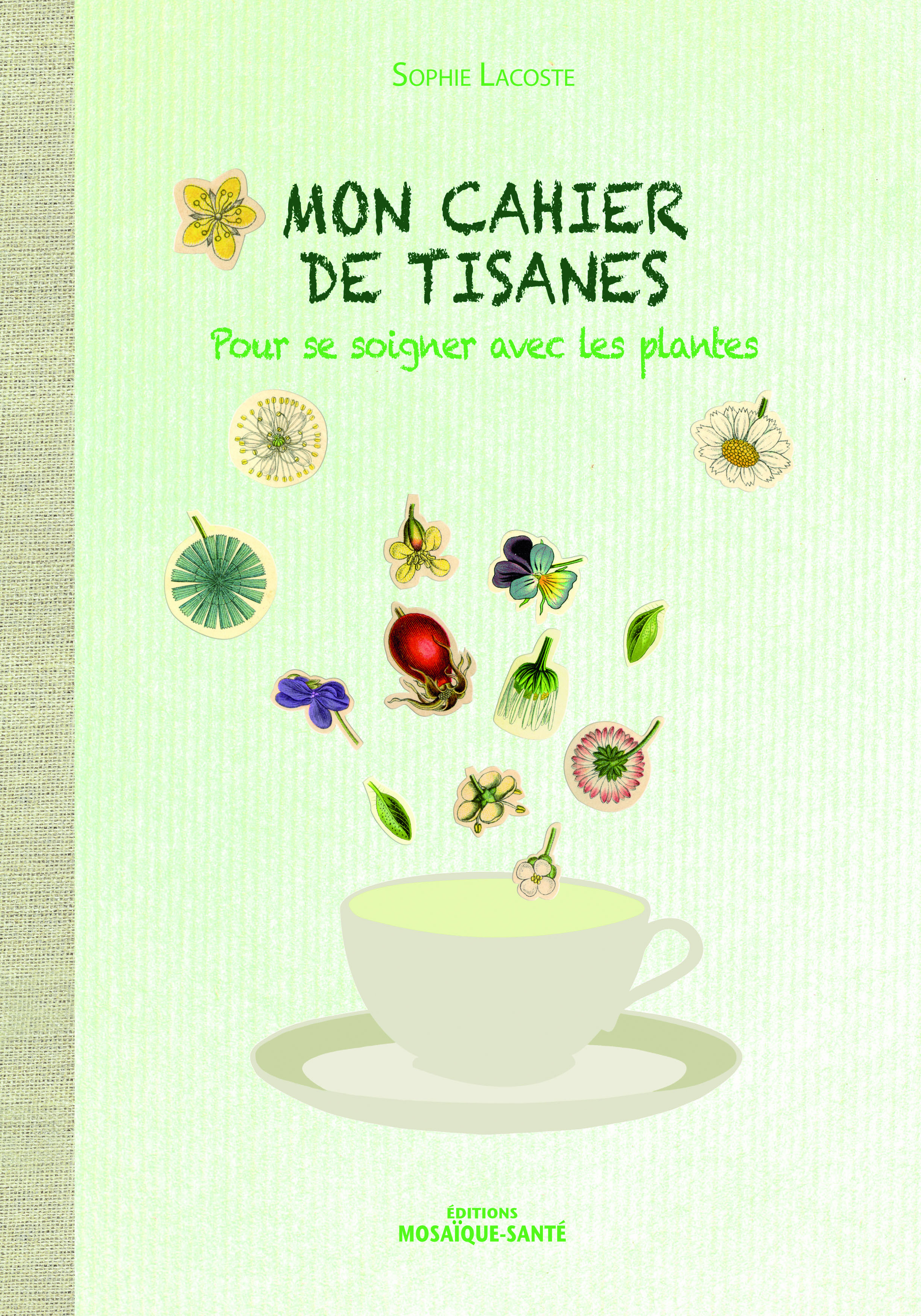 MON CAHIER DE TISANES POUR SE SOIGNER AVEC LES PLANTES