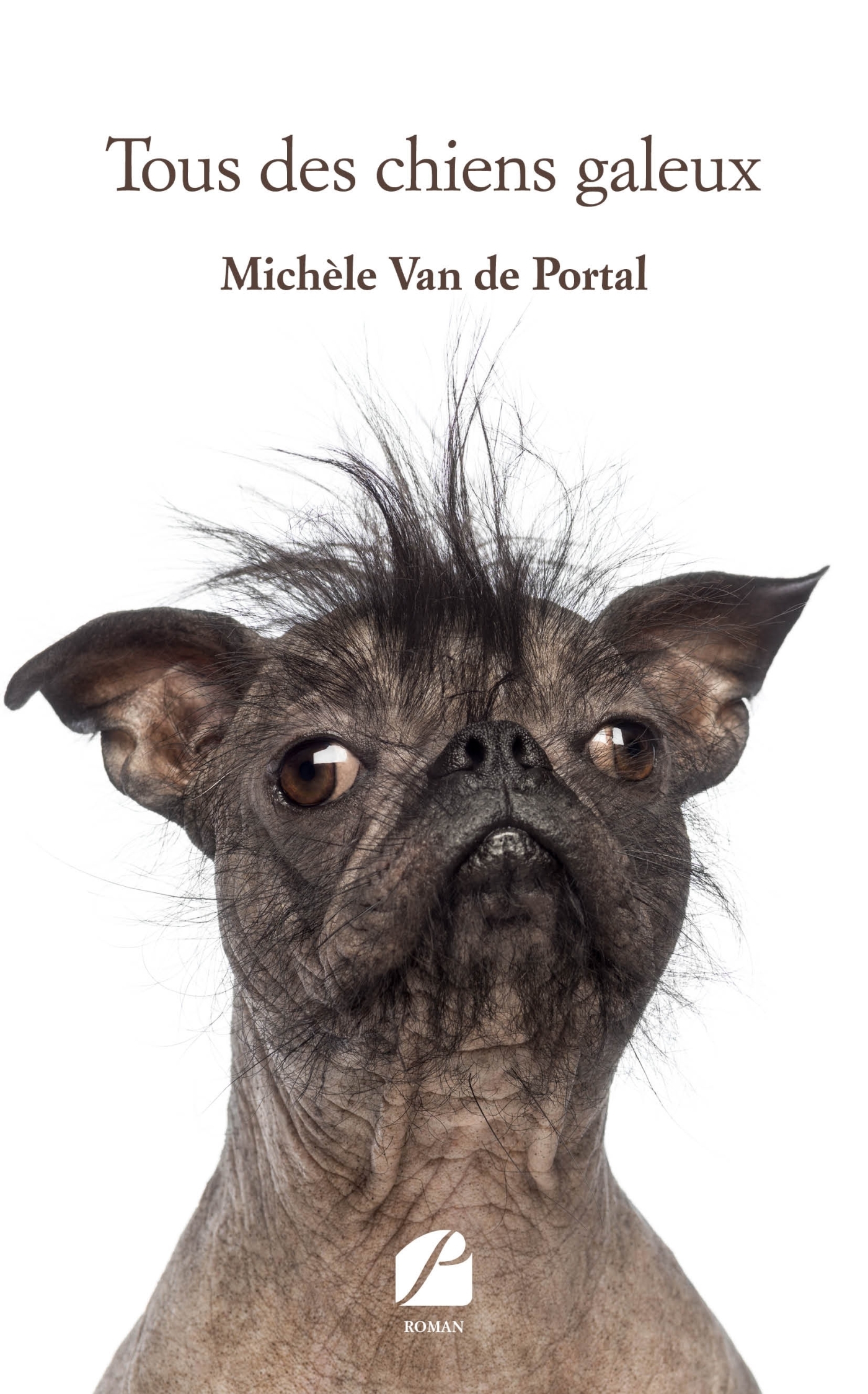 TOUS DES CHIENS GALEUX
