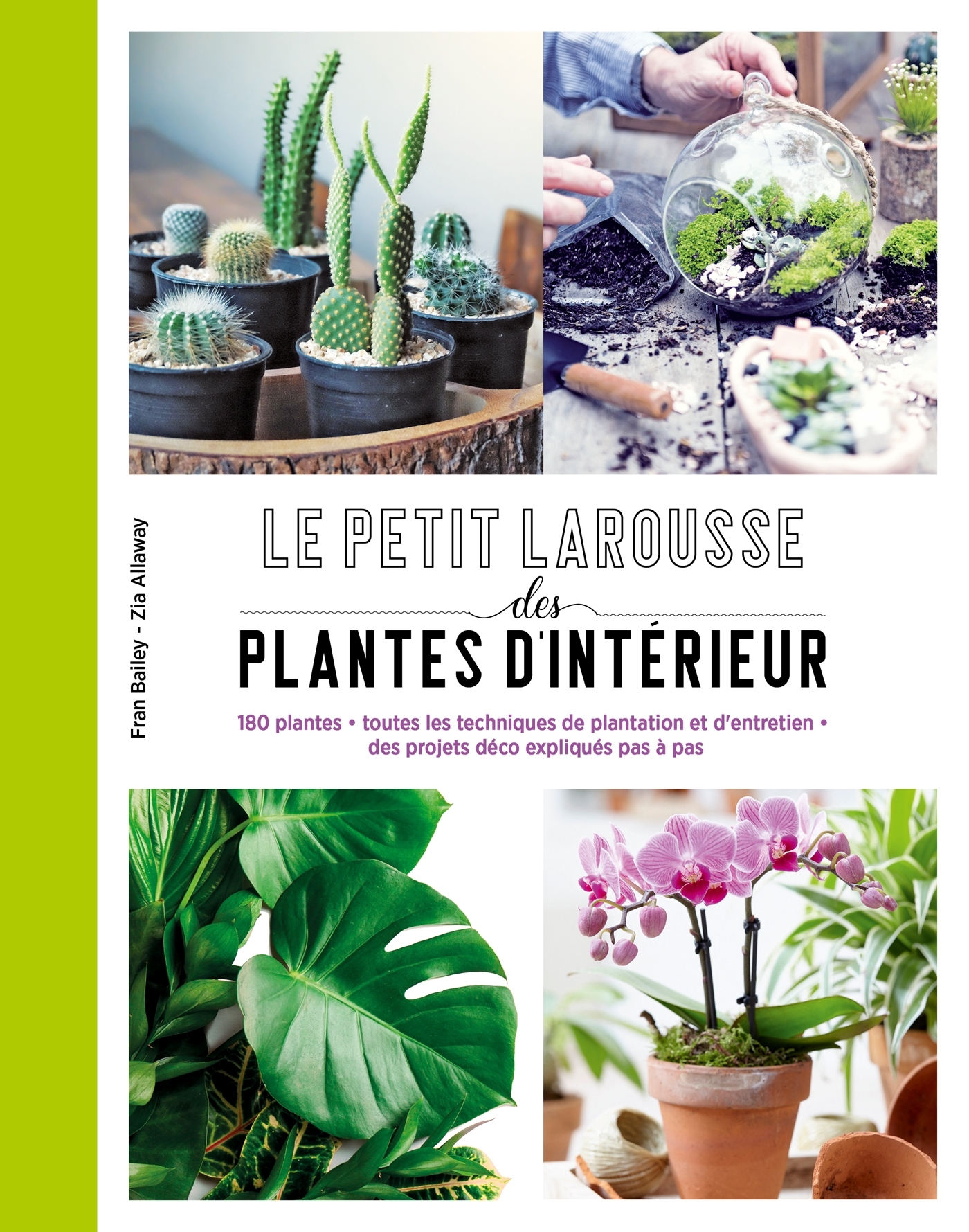 PETIT LAROUSSE DES PLANTES D´INTERIEUR