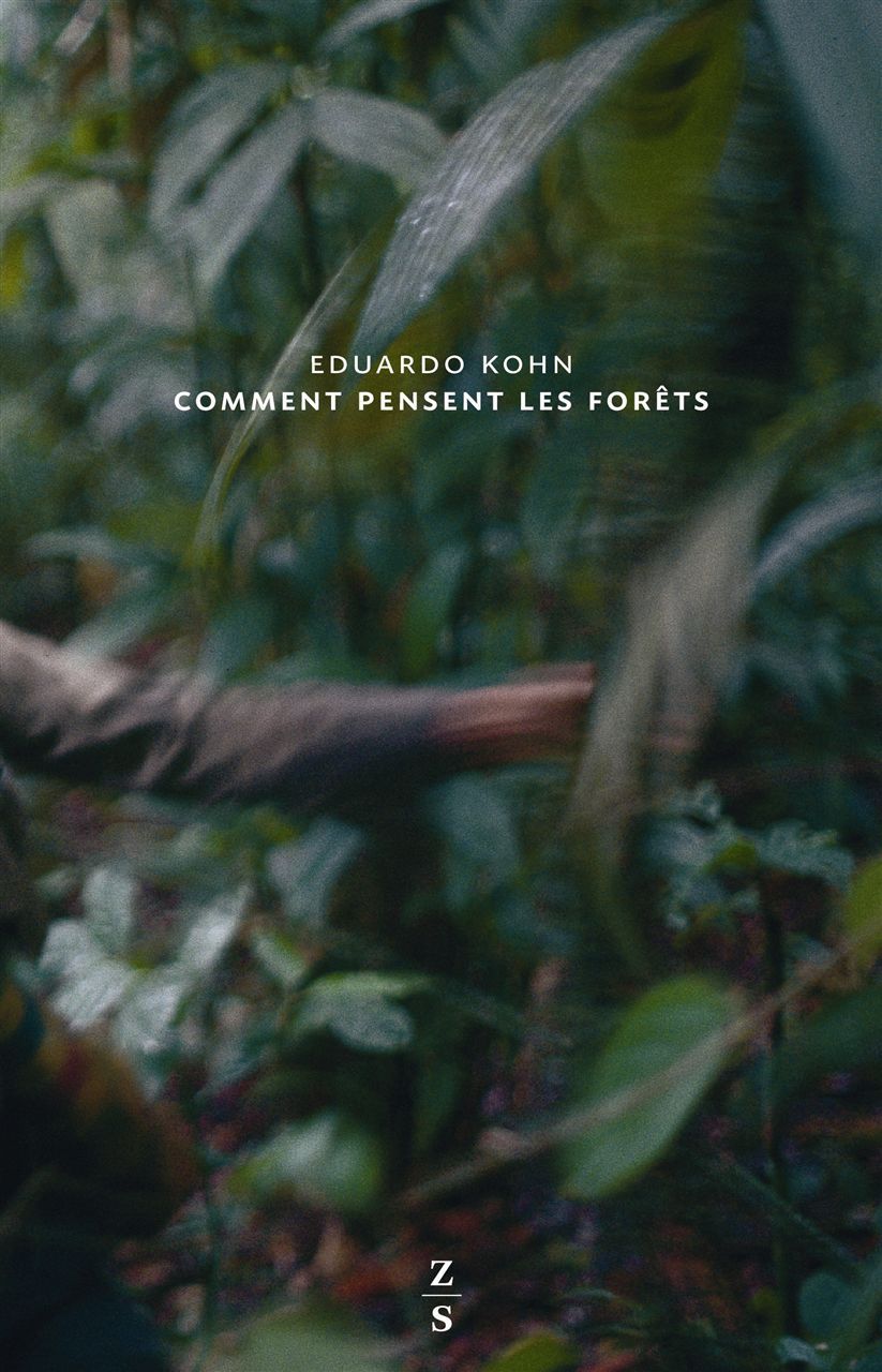 COMMENT PENSENT LES FORETS