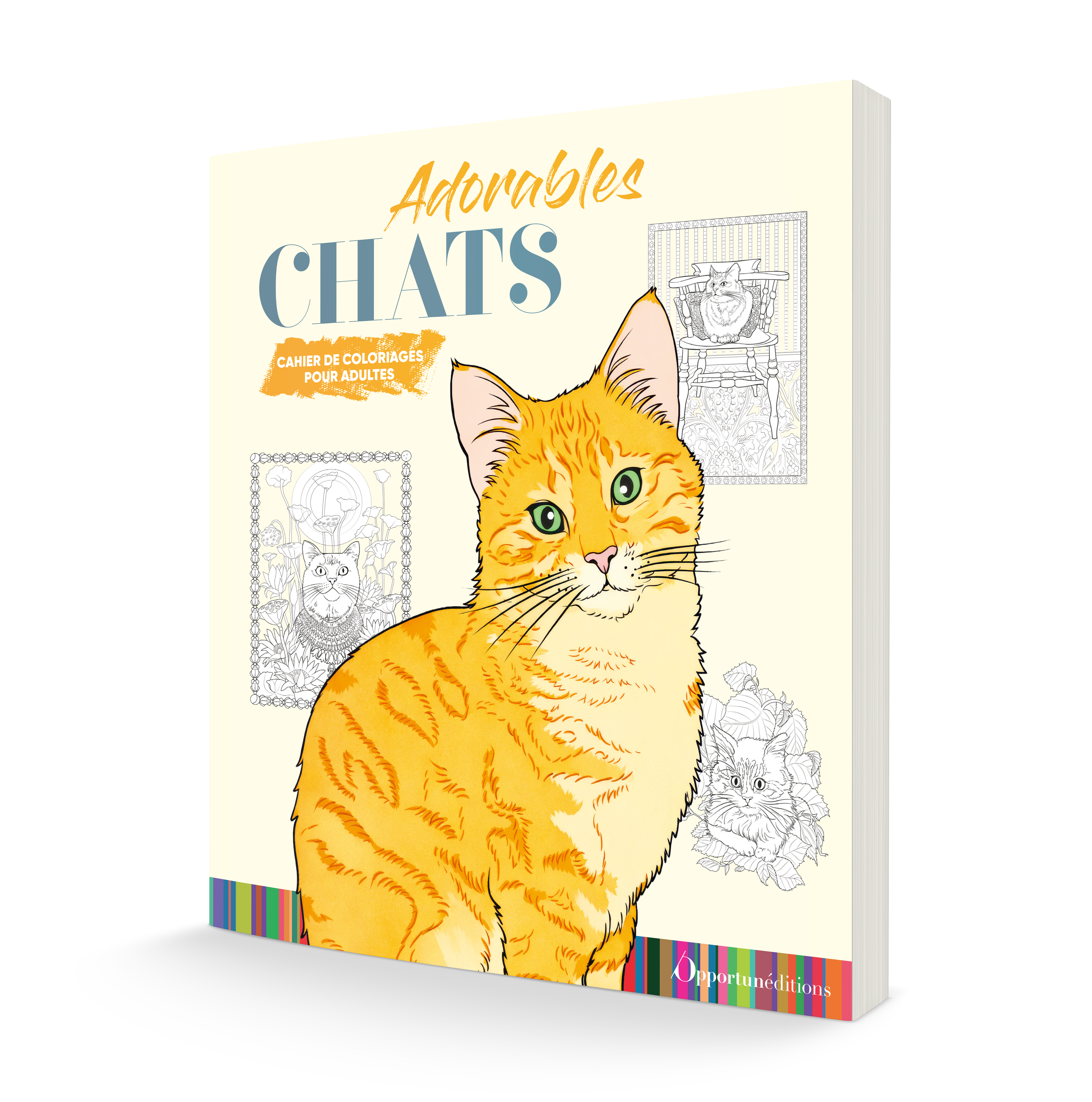CAHIER DE COLORIAGE CHATS - ADORABLES CHATS