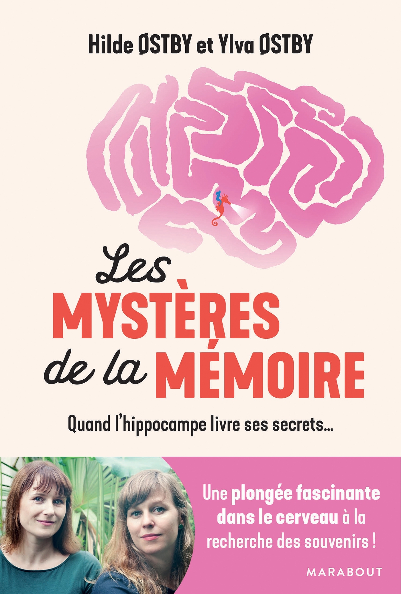 MYSTERES DE LA MEMOIRE - QUAND L´HIPPOCAMPE LIVRE SES SECRETS...