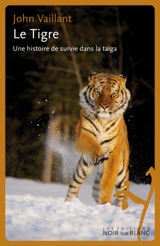TIGRE - HISTOIRE DE SURVIE DANS LA TAIGA