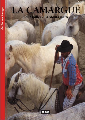 CAMARGUE - ARRETS-SUR-IMAGES