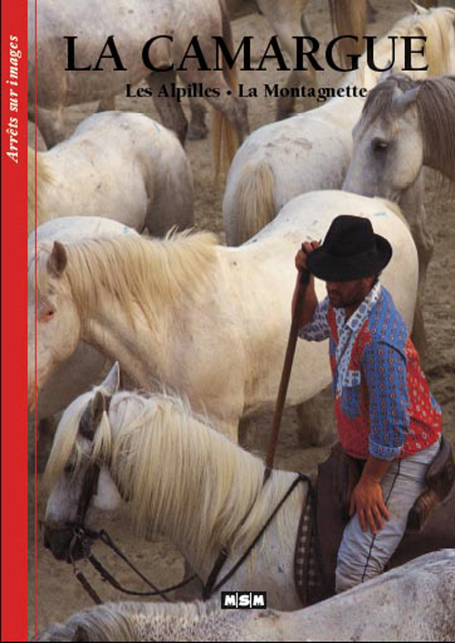 CAMARGUE-ARRETS/IMAGES