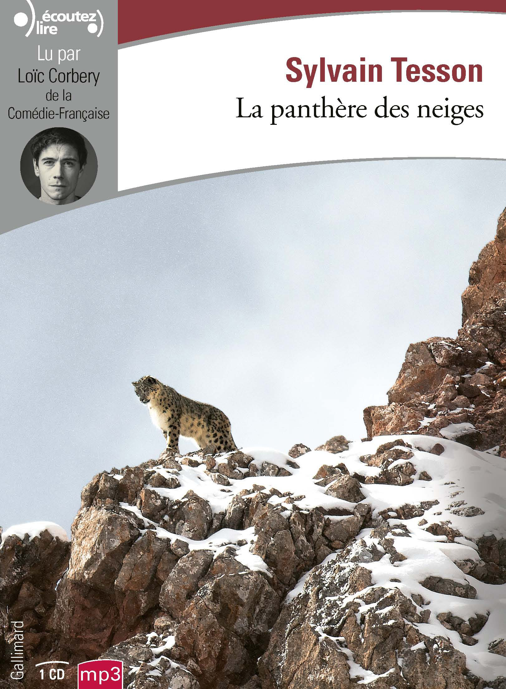 PANTHERE DES NEIGES - CD