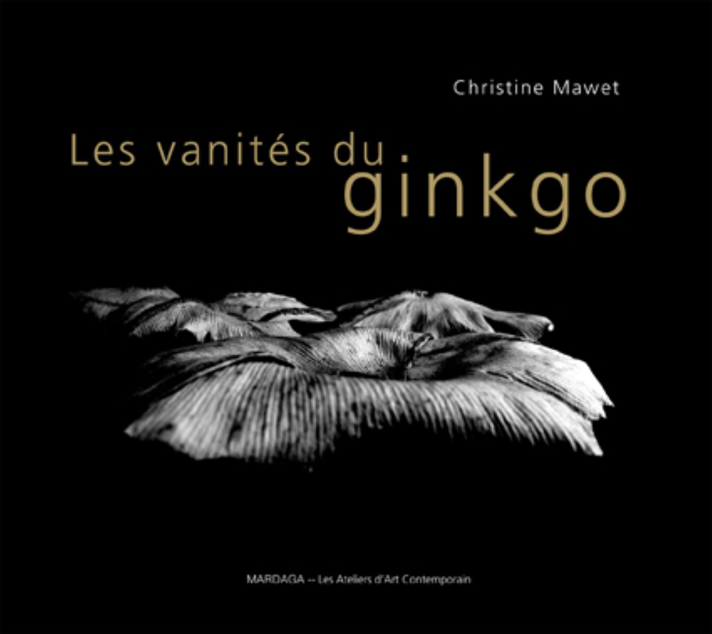 VANITES DU GINKGO (LES)