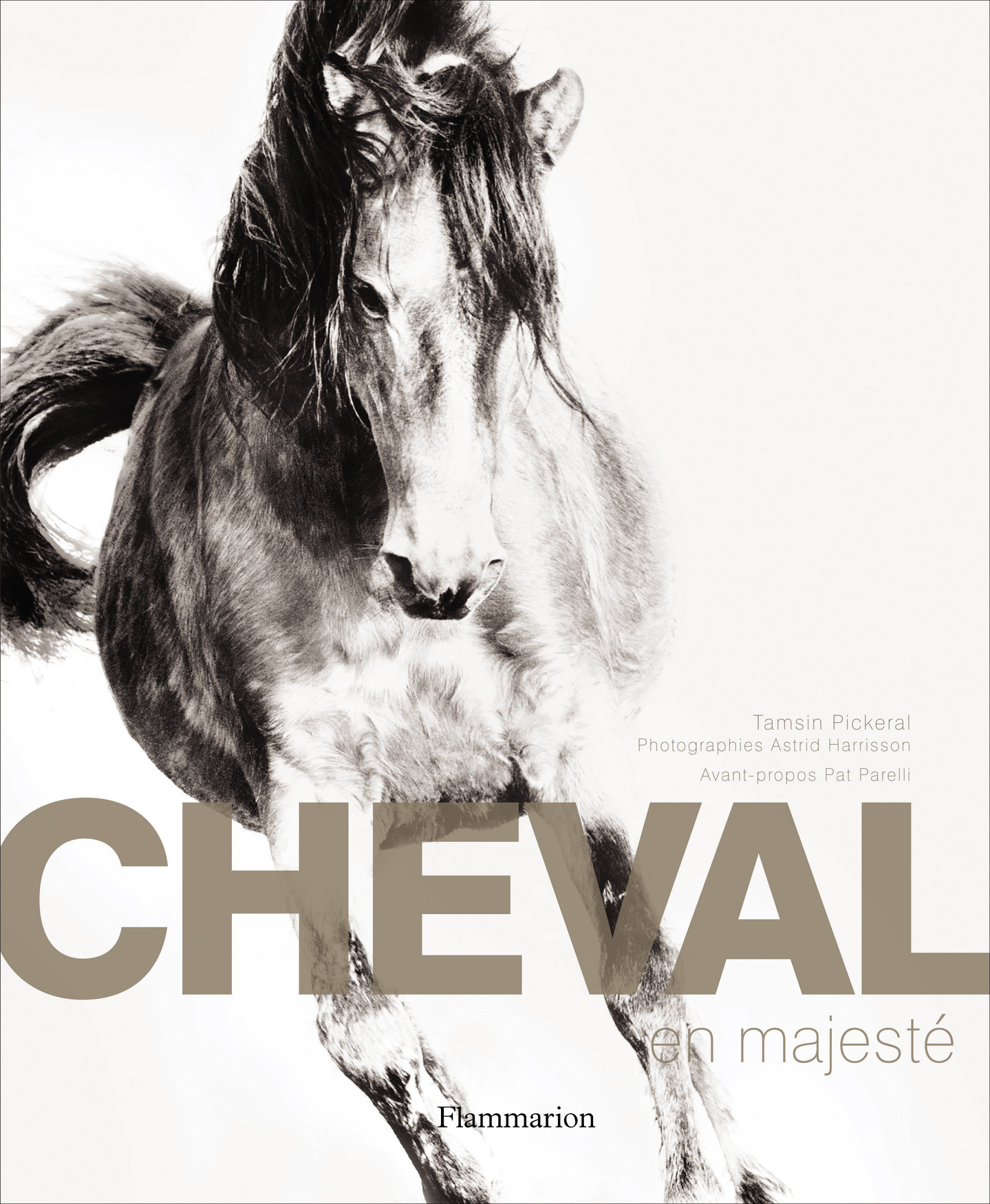 CHEVAL EN MAJESTE