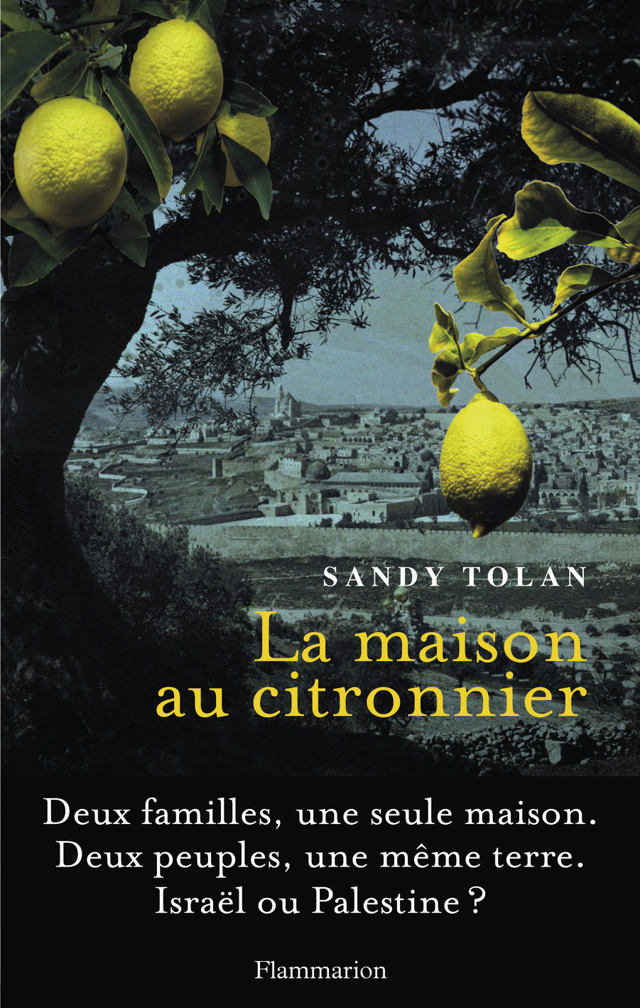 MAISON AU CITRONNIER
