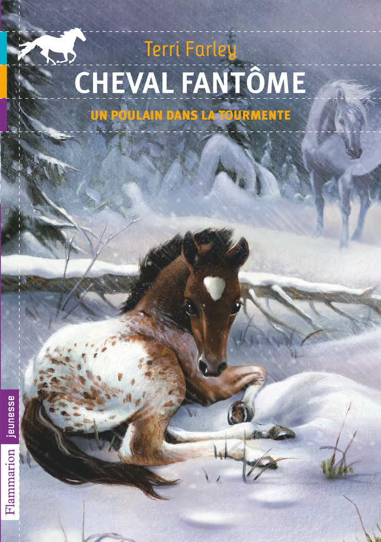 CHEVAL FANTOME T5 - UN POULAIN DANS LA TOURMENTE