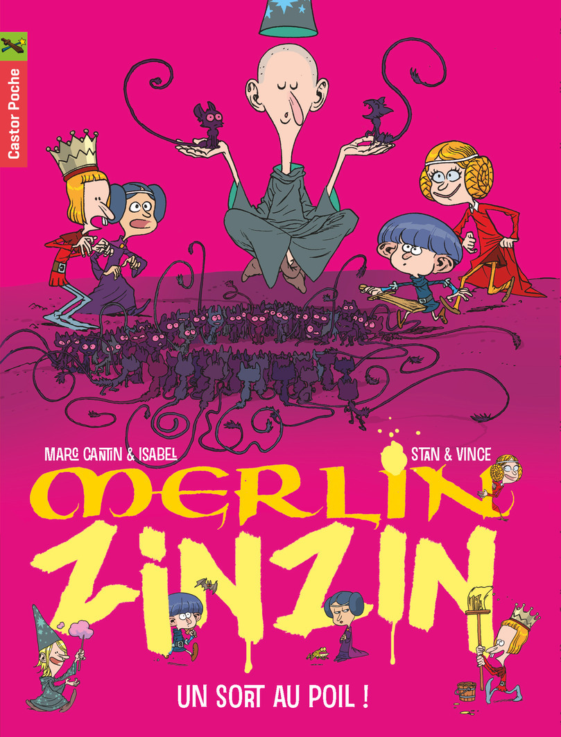 MERLIN ZINZIN T7 - UN SORT AU POIL