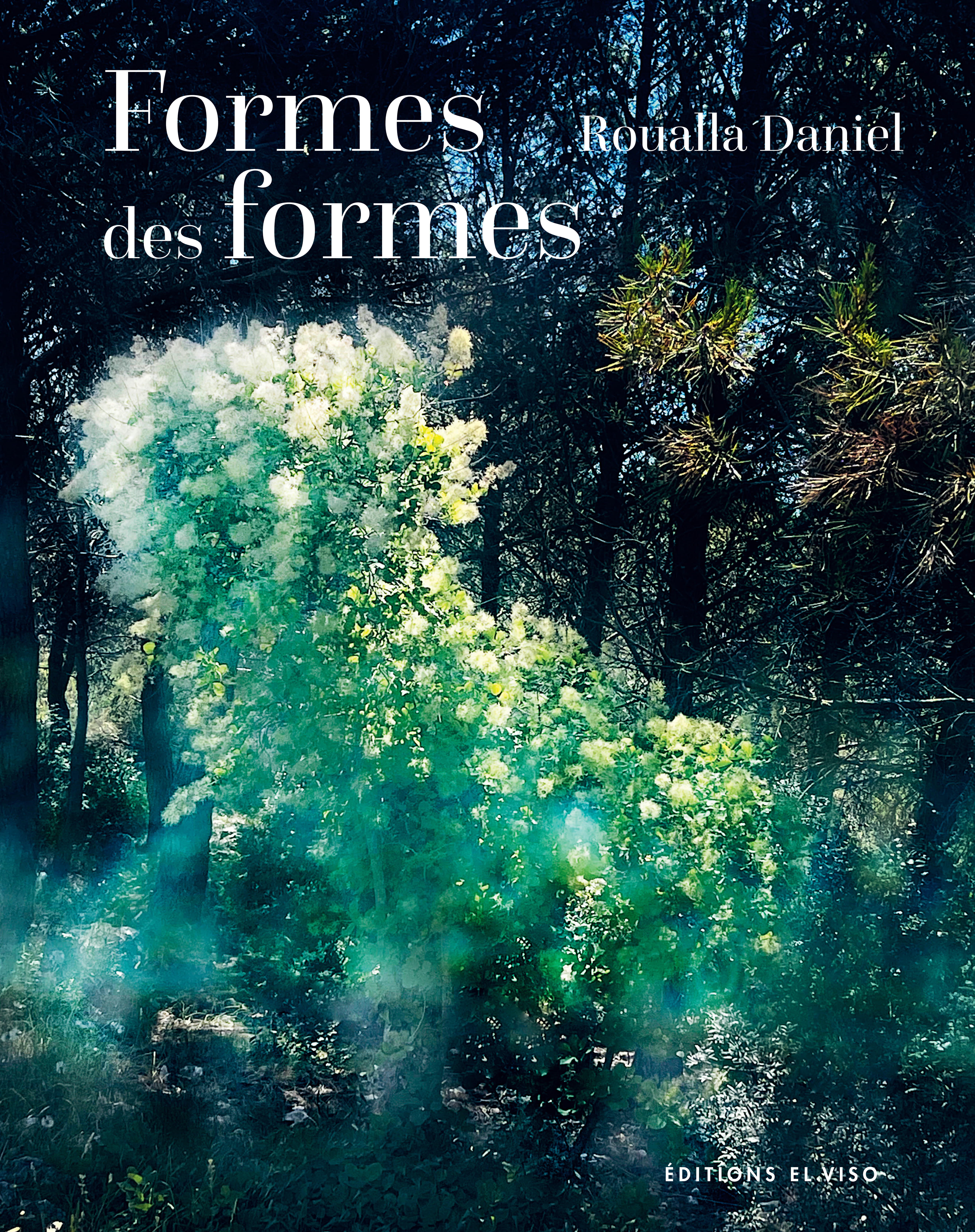 ROUALLA DANIEL - FORMES DES FORMES