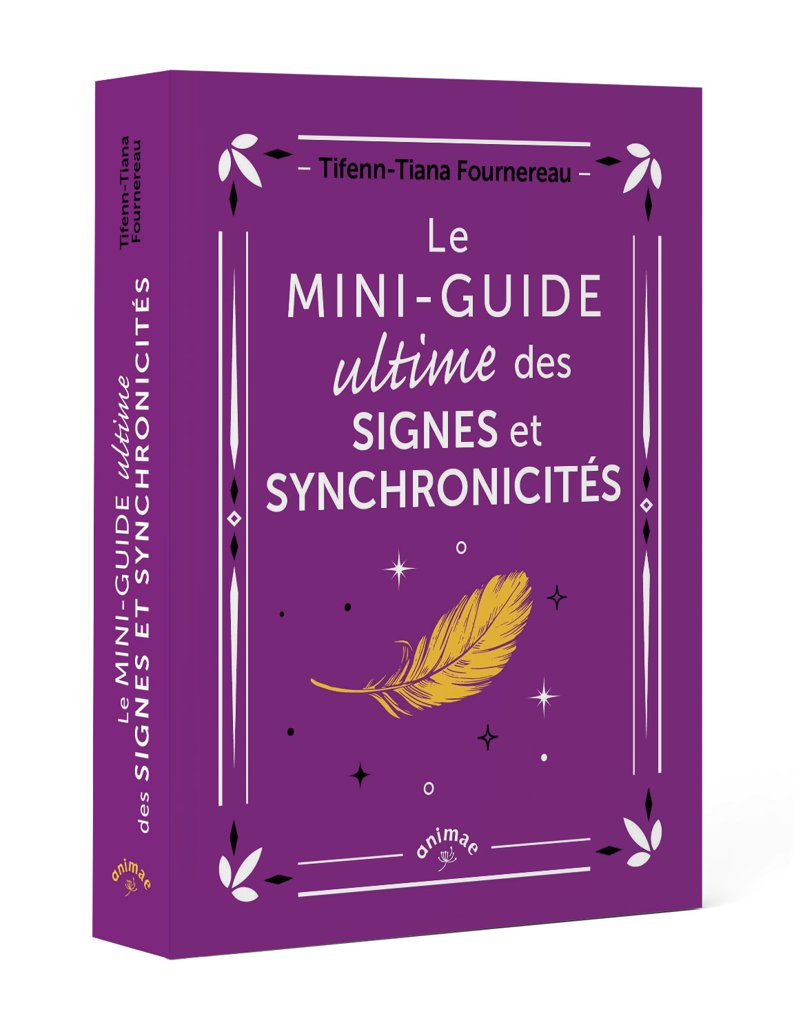 MINI-GUIDE ULTIME DES SIGNES ET SYNCHRONICITES