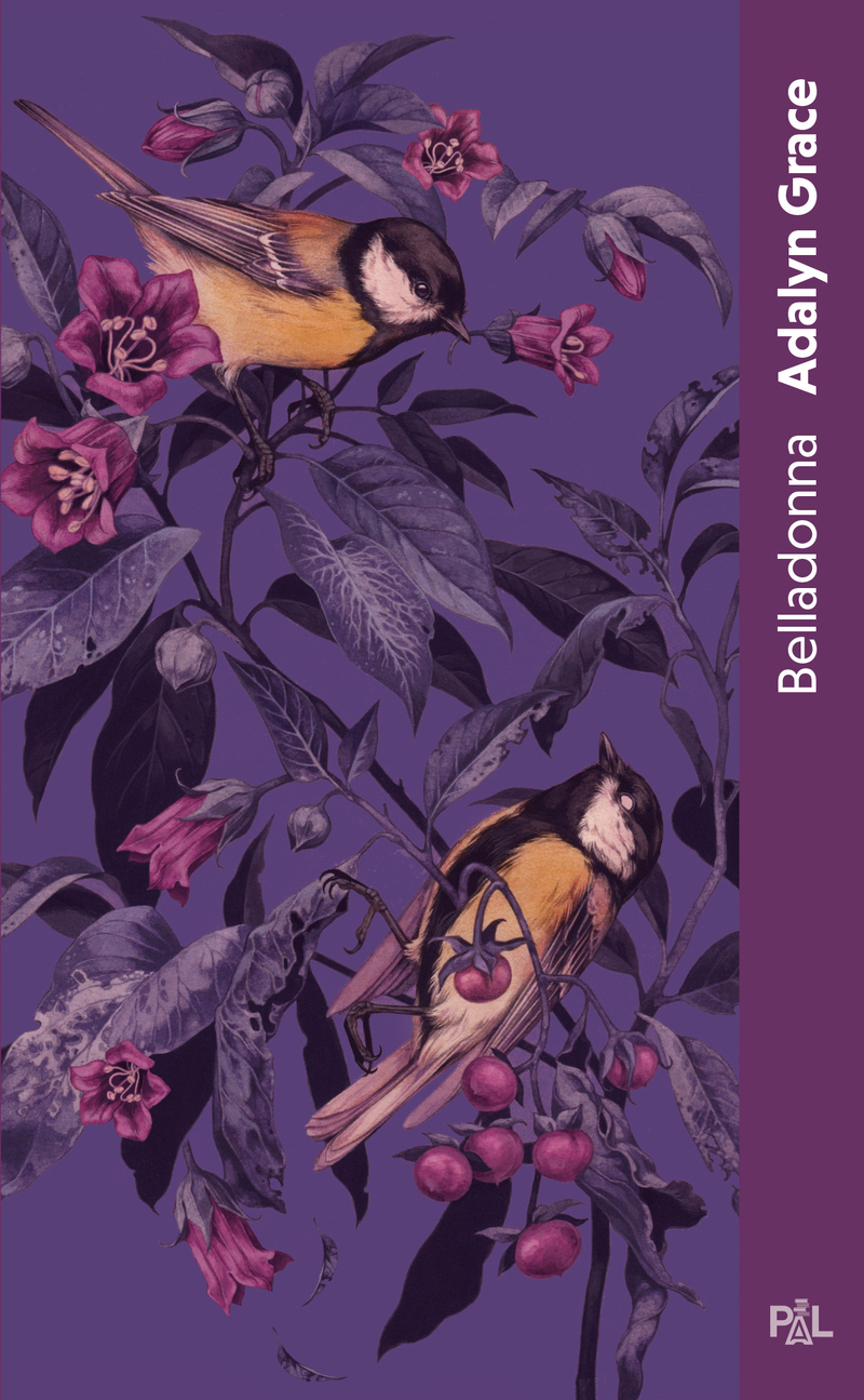 BELLADONNA (POCHE BROCHE) - TOME 01