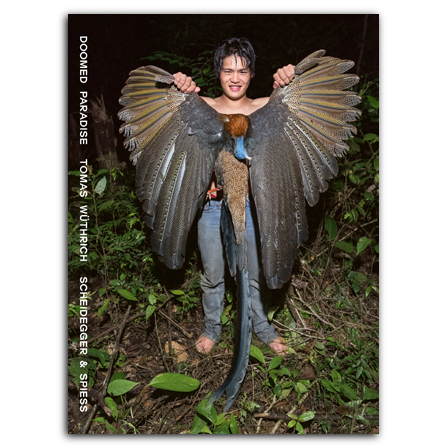 TOMAS WUTHRICH DOOMED PARADISE THE LAST PENAN IN THE RAINFOREST OF BORNEO /