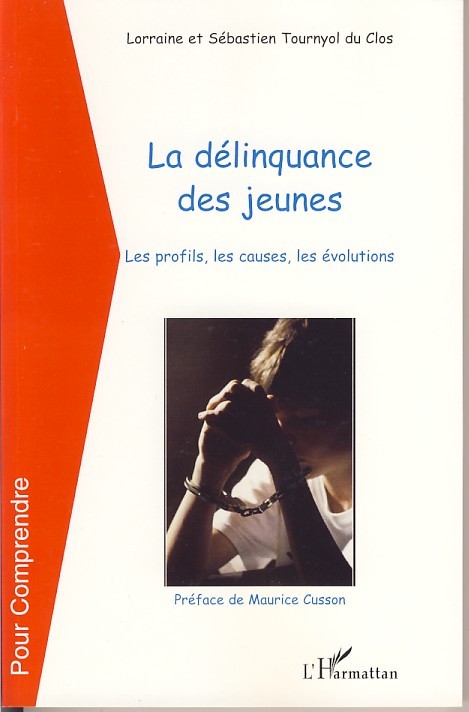 DELINQUANCE DES JEUNES LES PROFILS LES CAUSES LES EVOLUTIONS