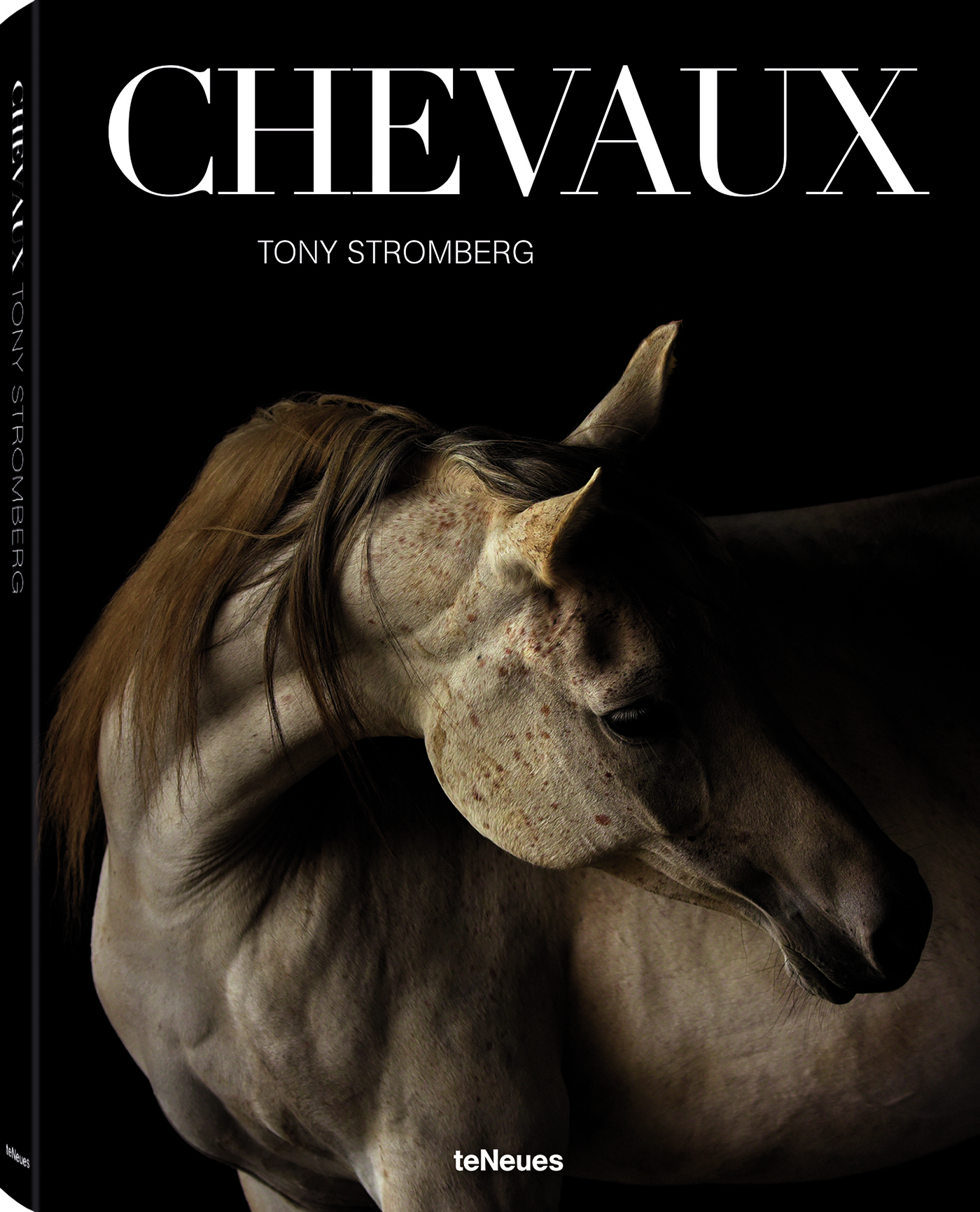 CHEVAUX