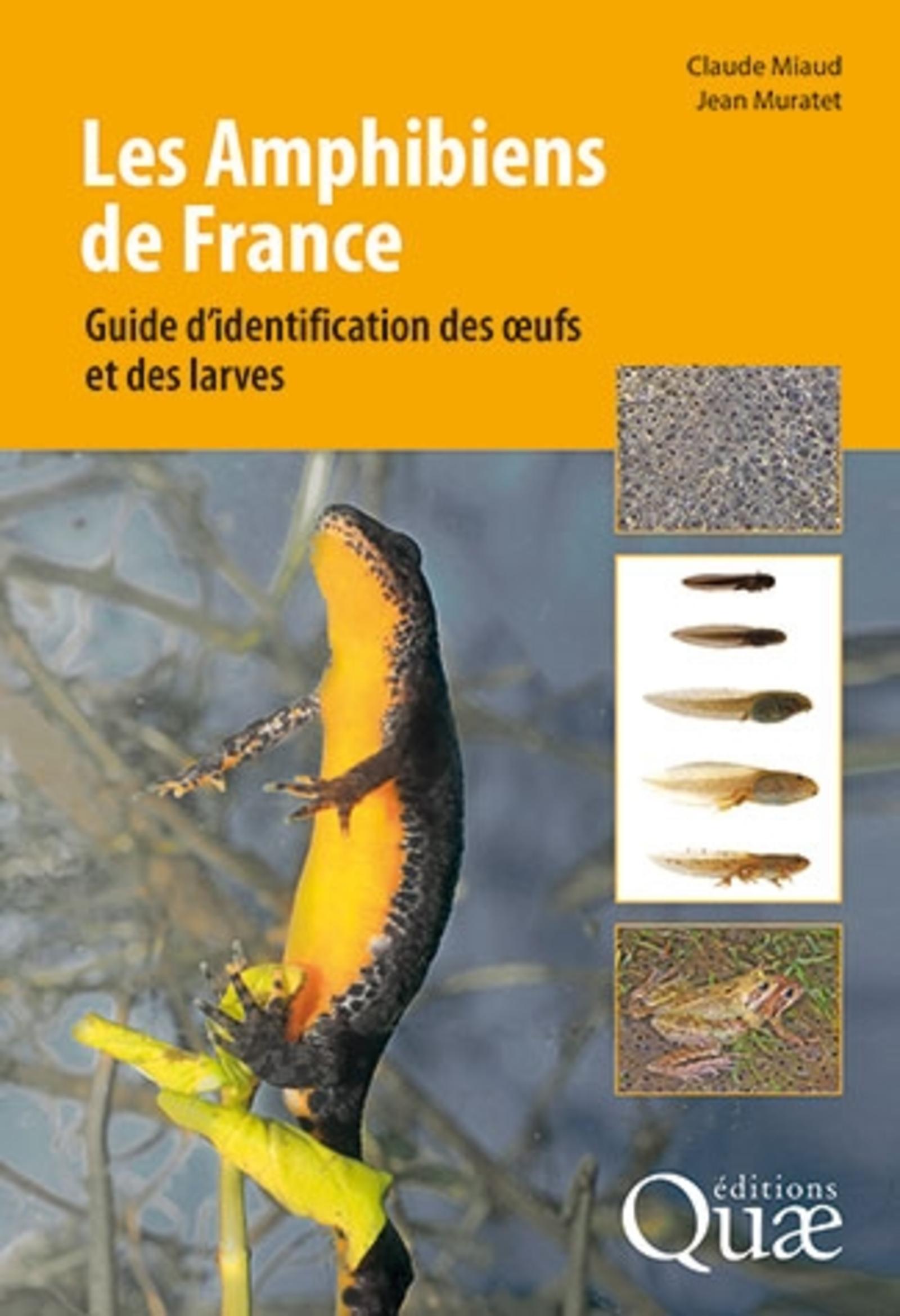 AMPHIBIENS DE FRANCE - VF