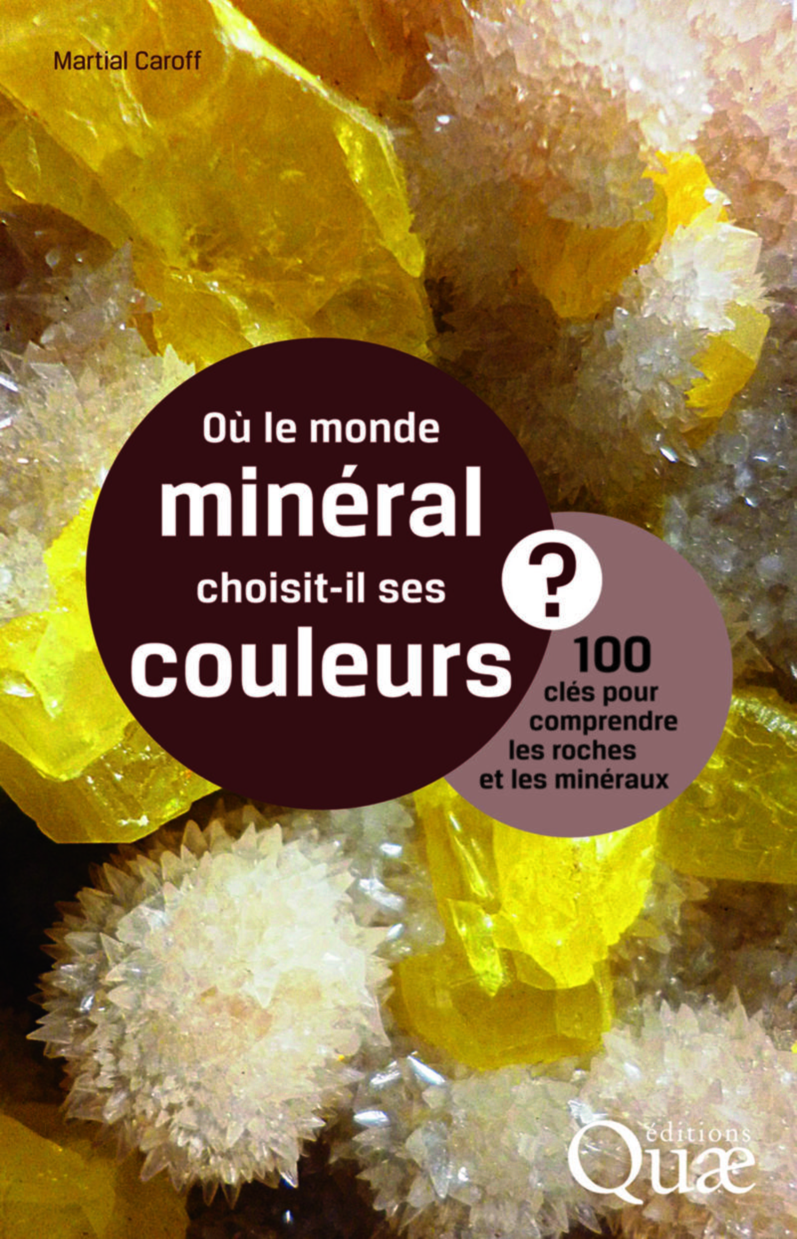 OU LE MONDE MINERAL CHOISIT IL SES COULEURS 100 CLES POUR COMPRENDRE LES ROCHES ET LES MINERAUX
