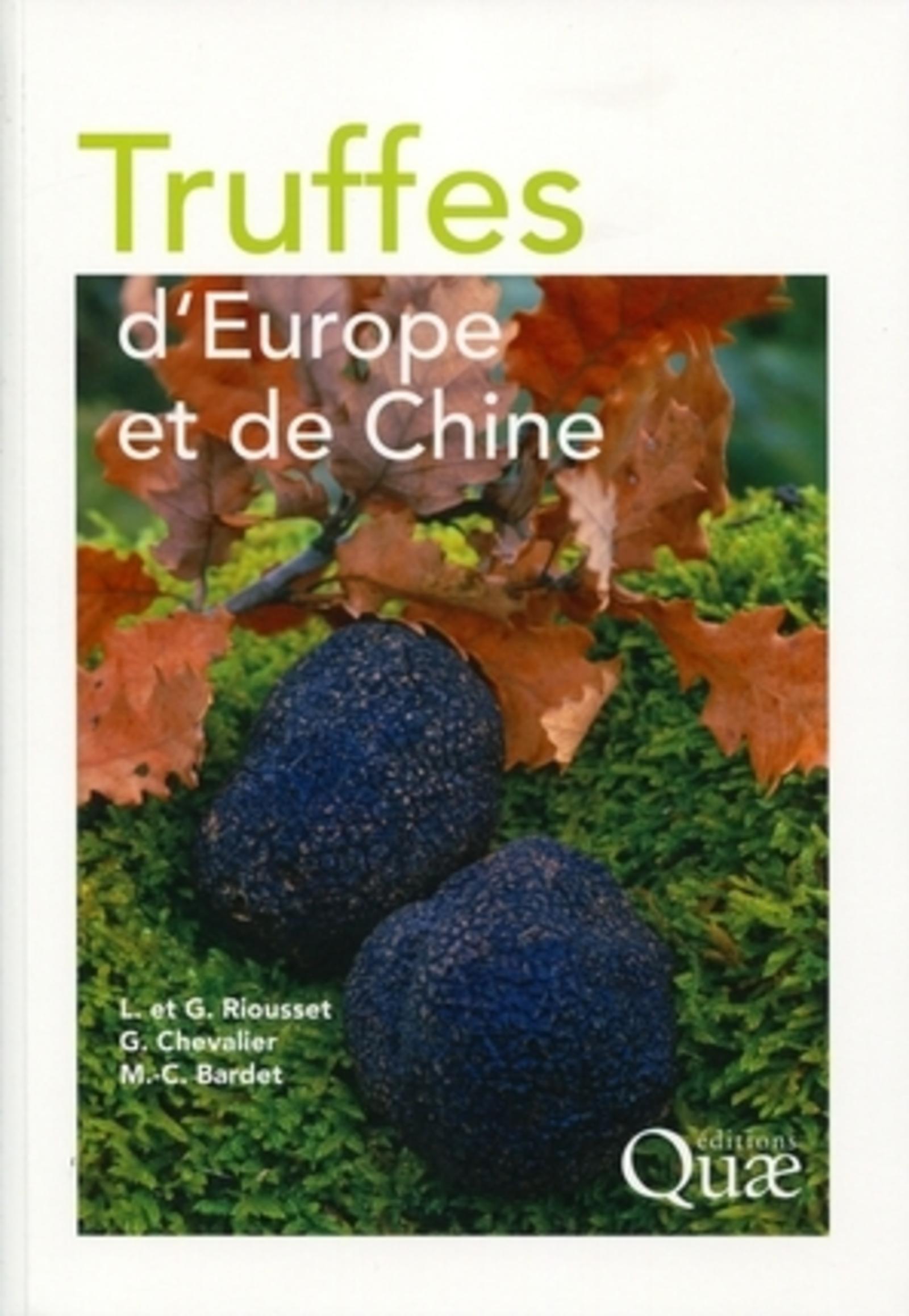 TRUFFES D´EUROPE ET DE CHINE
