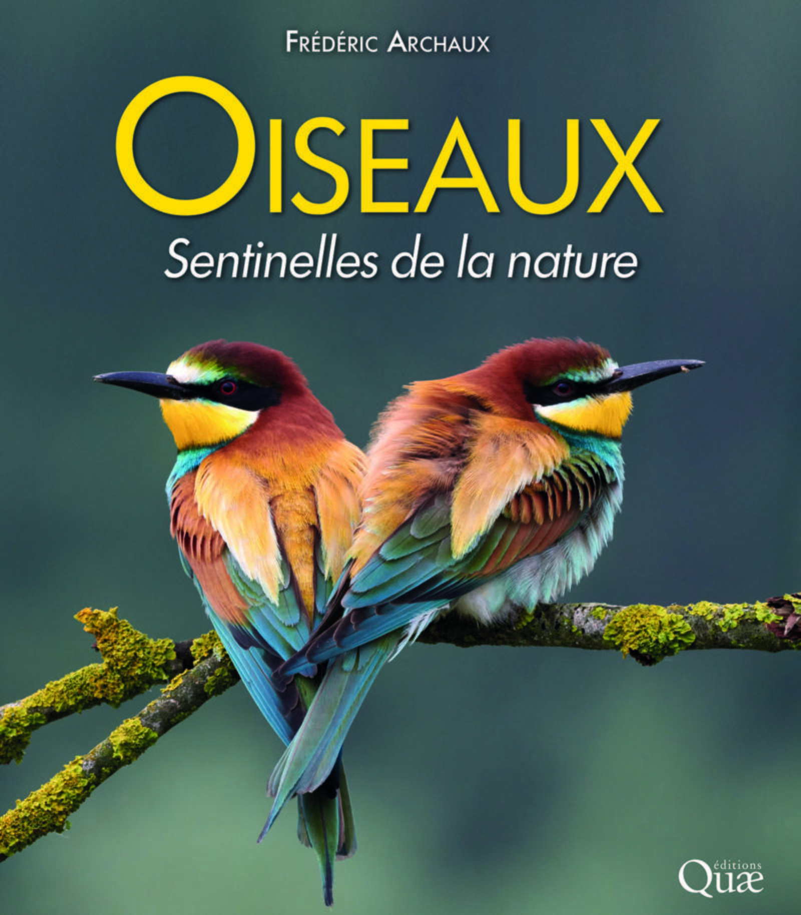OISEAUX SENTINELLES DE LA NATURE