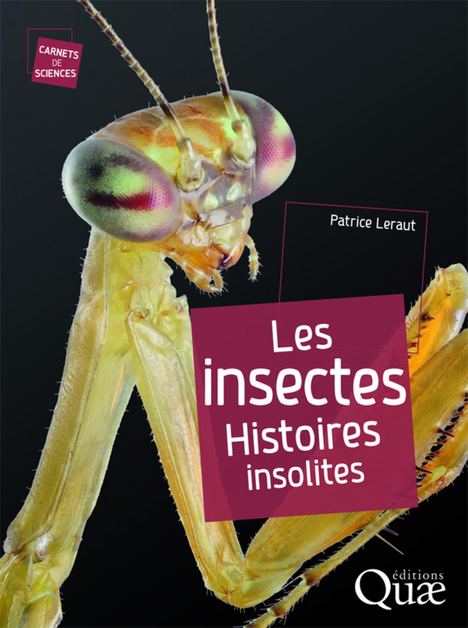 INSECTES HISTOIRES INSOLITES