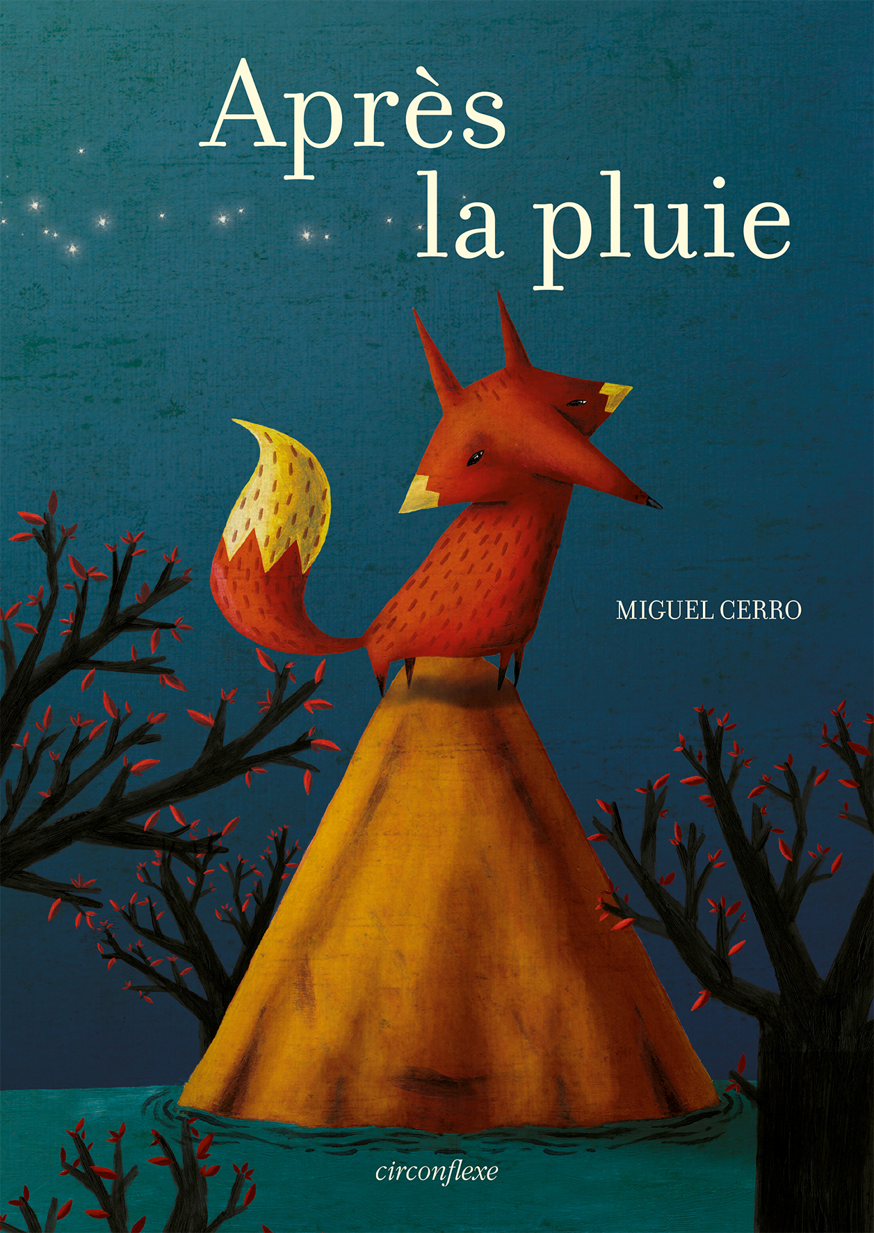 APRES LA PLUIE