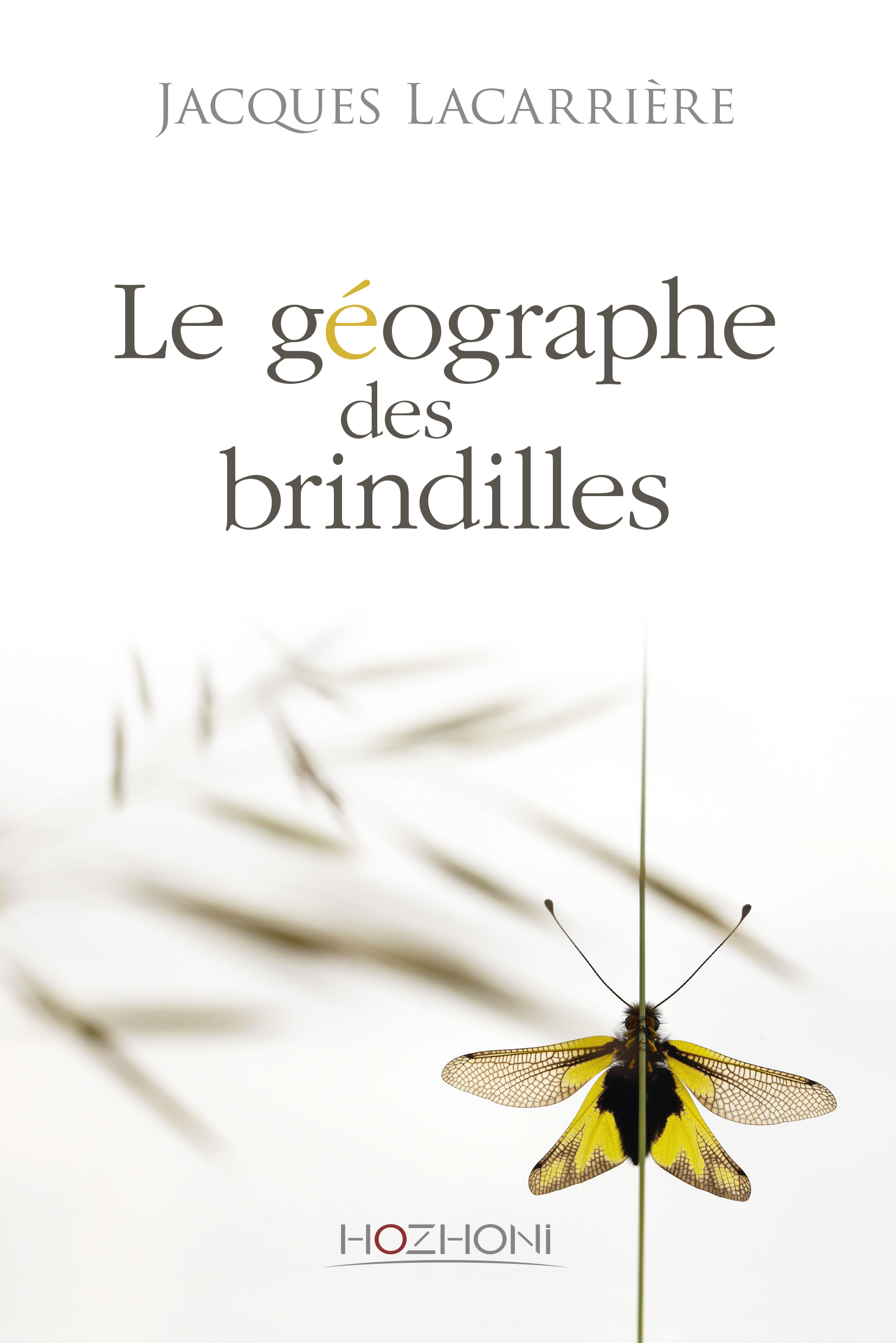 GEOGRAPHE DES BRINDILLES