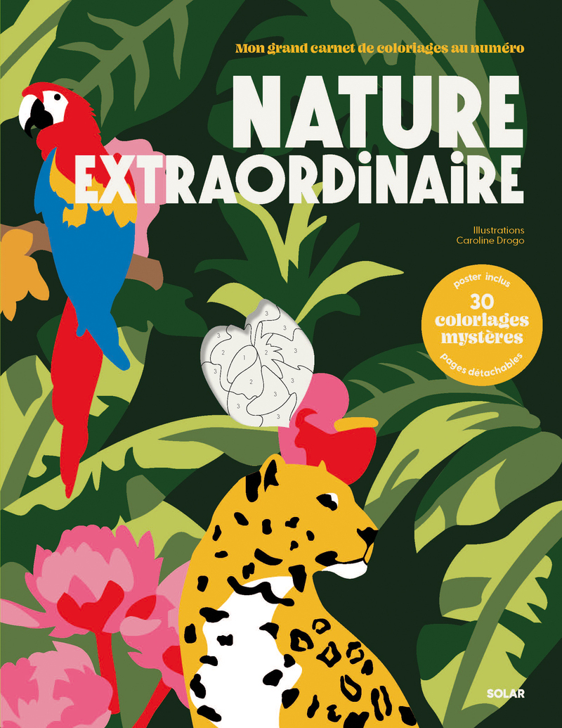 COLORIAGES AU NUMERO - NATURE EXTRAORDINAIRE