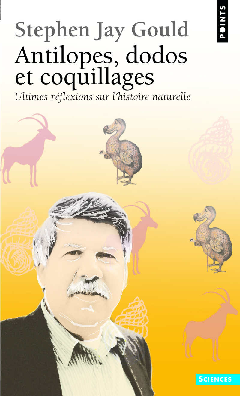 ANTILOPES DODOS ET COQUILLAGES