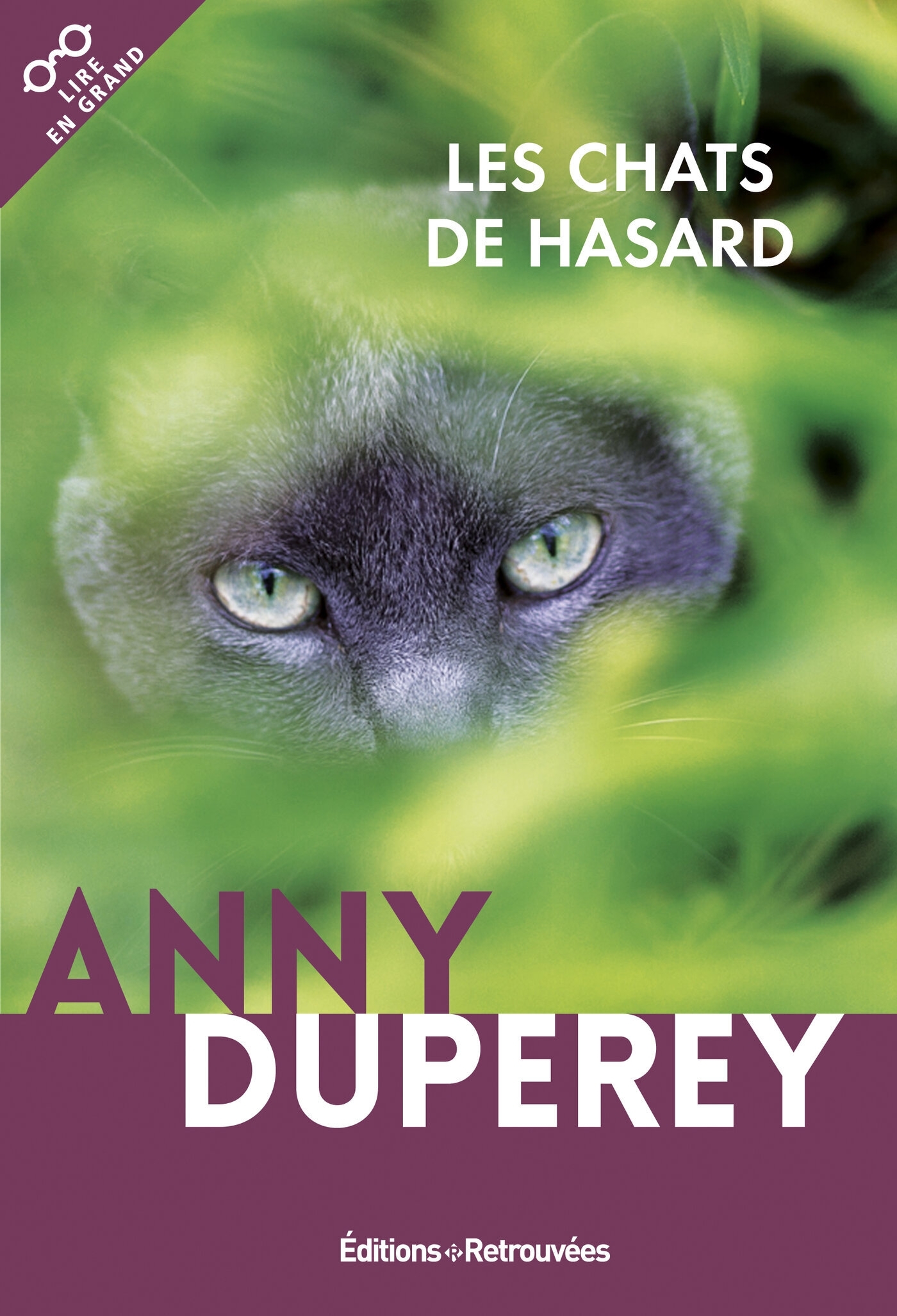 CHATS DE HASARD