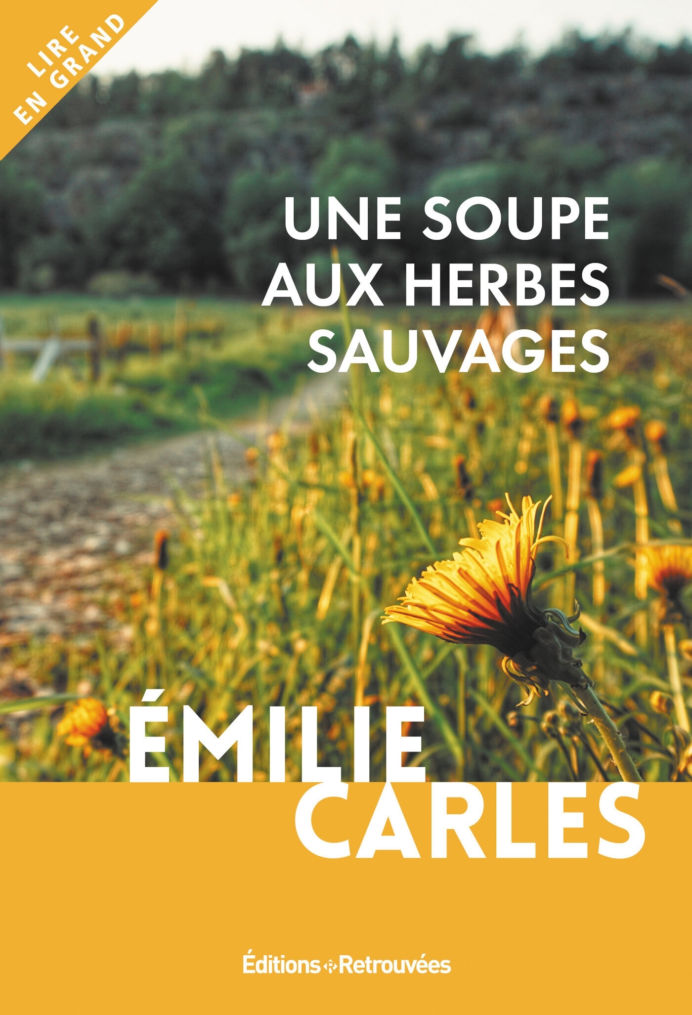 SOUPE AUX HERBES SAUVAGES (UNE)