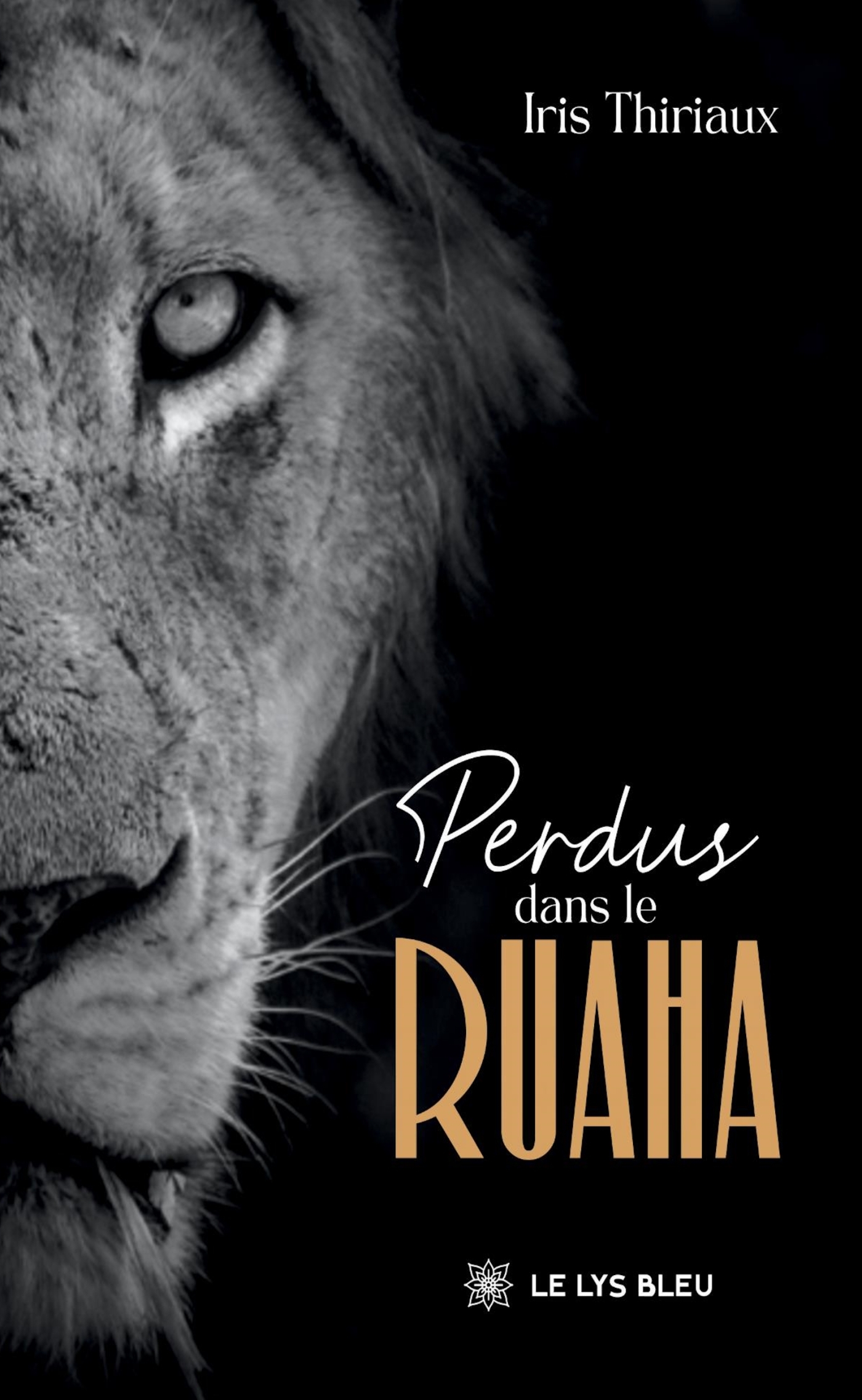 PERDUS DANS LE RUAHA