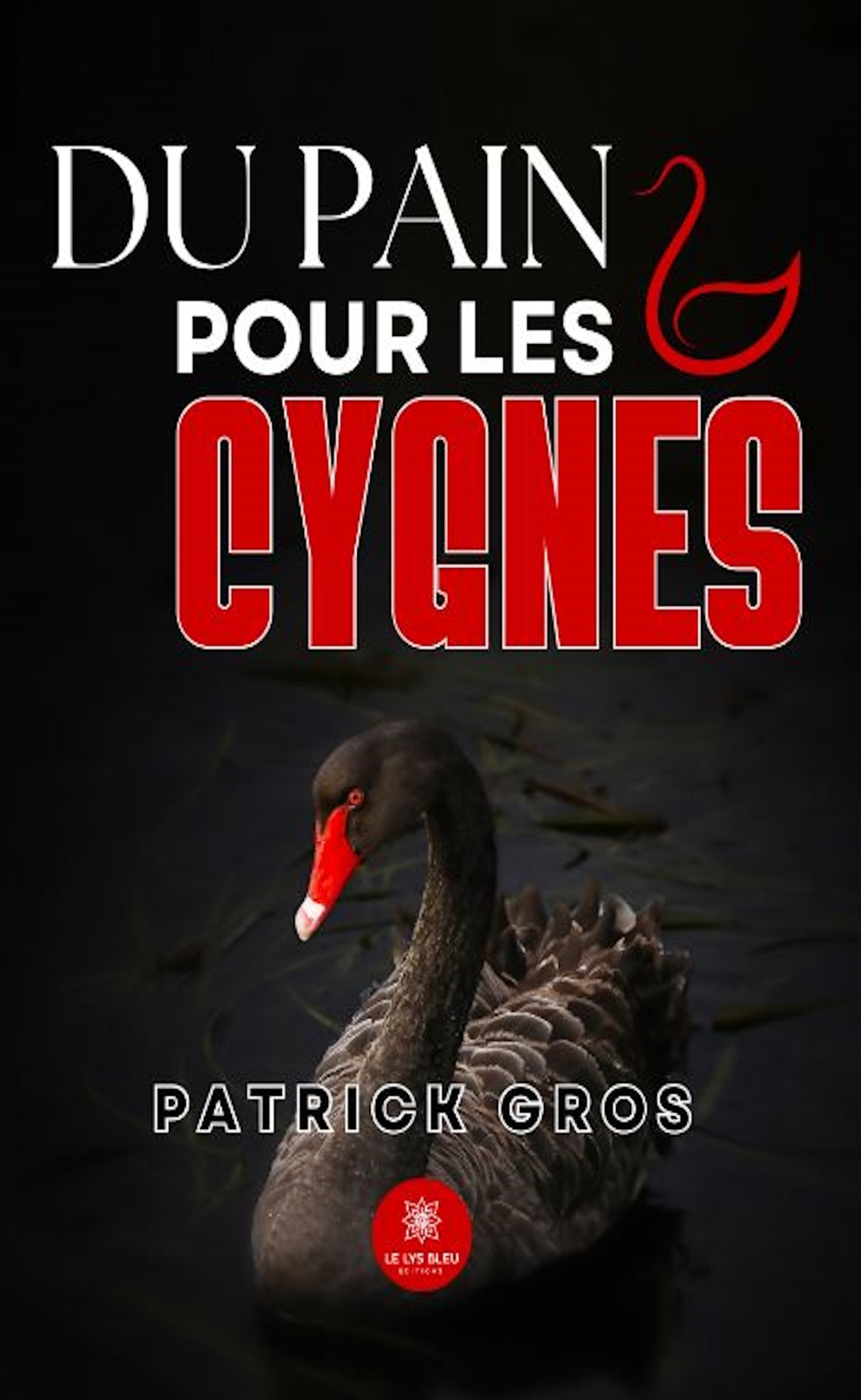 DU PAIN POUR LES CYGNES