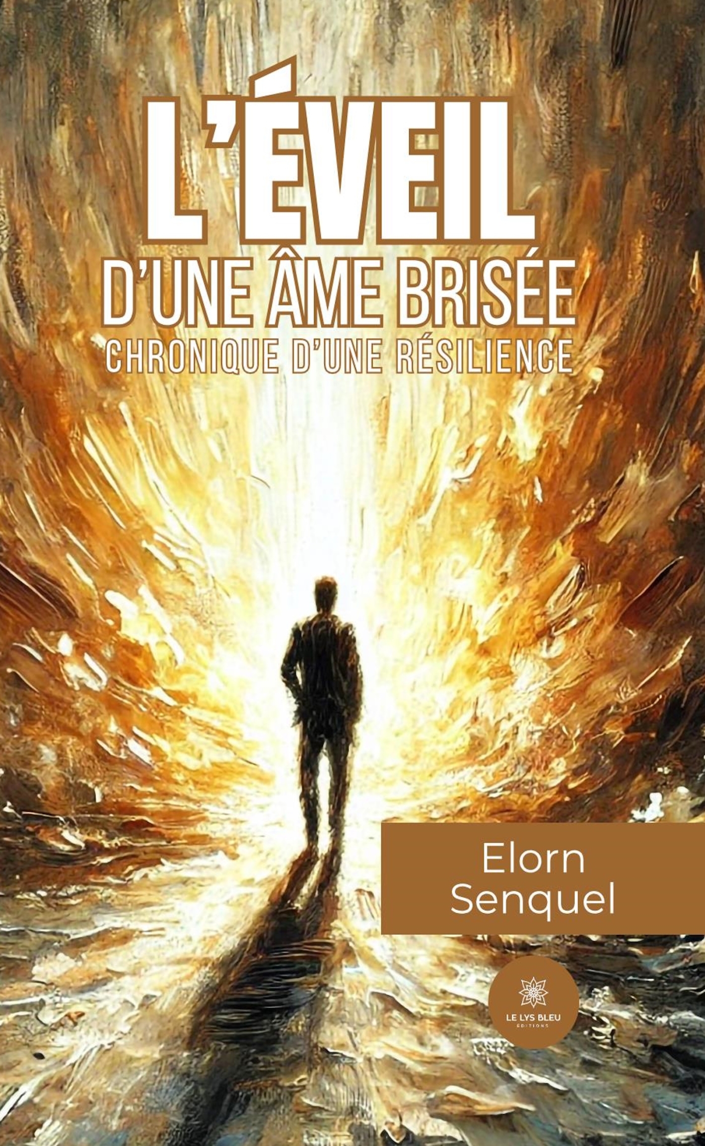 L´EVEIL D´UNE AME BRISEE - CHRONIQUE D´UNE RESILIENCE