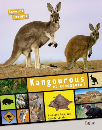 KANGOUROUS ET COMPAGNIE !