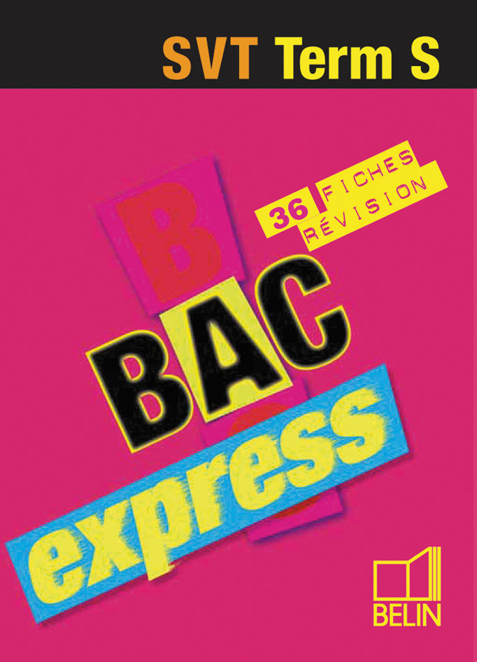 BAC EXPRESS SVT TS
