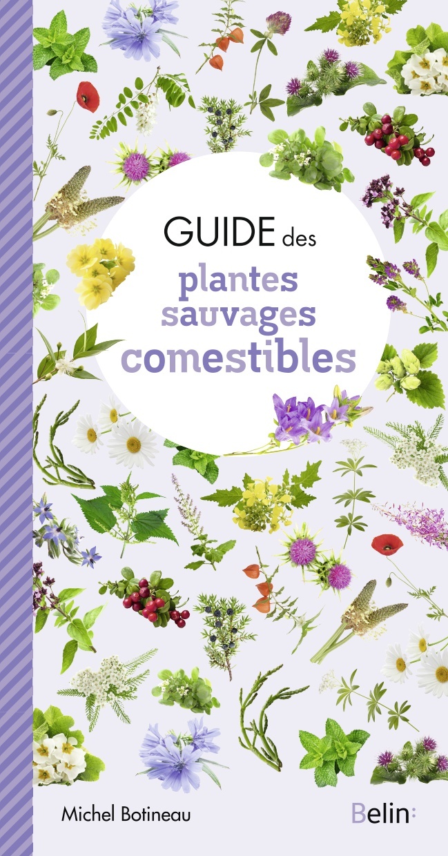 GUIDE DES PLANTES SAUVAGES COMESTIBLES