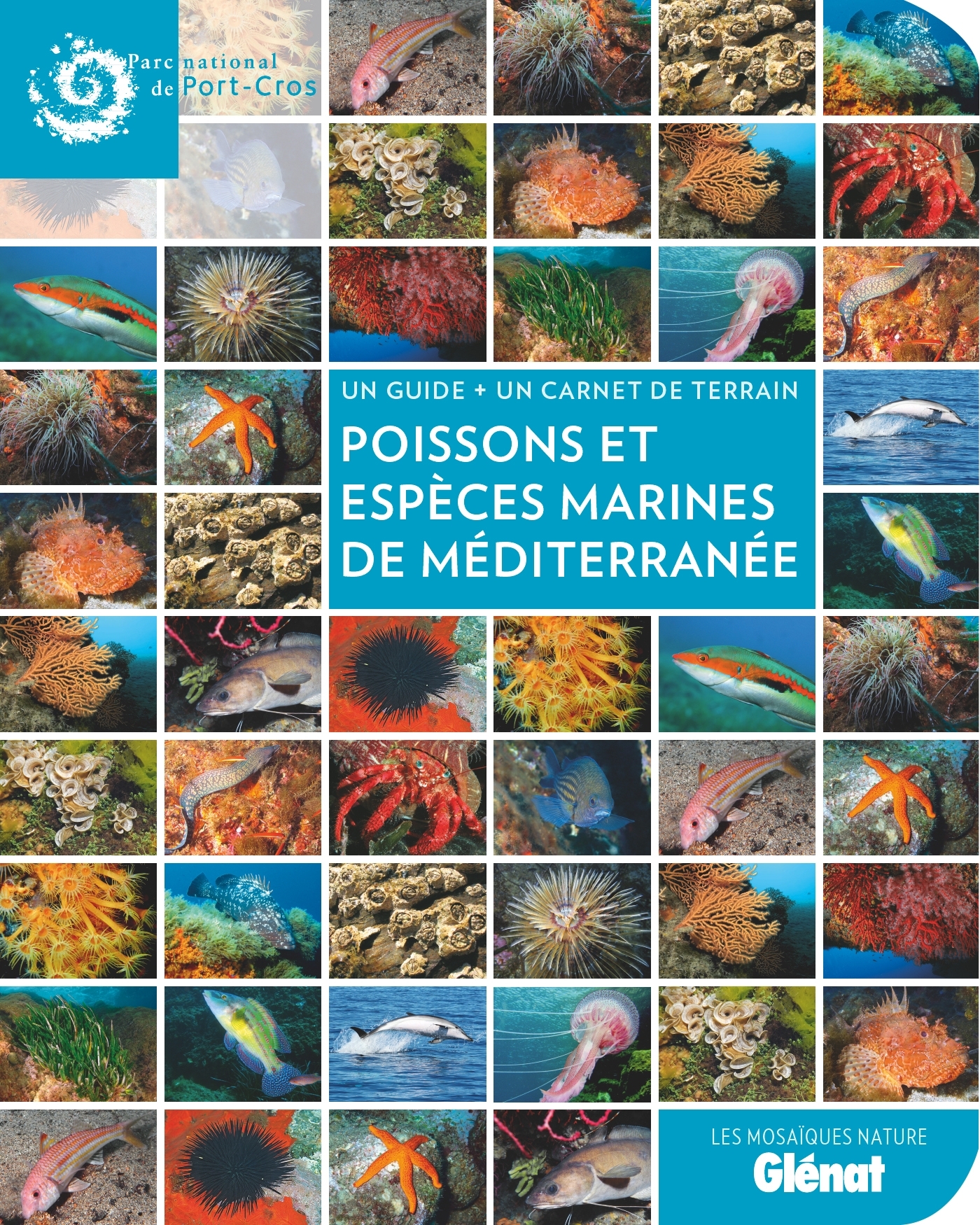 POISSONS ET ESPECES MARINES DE MEDITERRANEE
