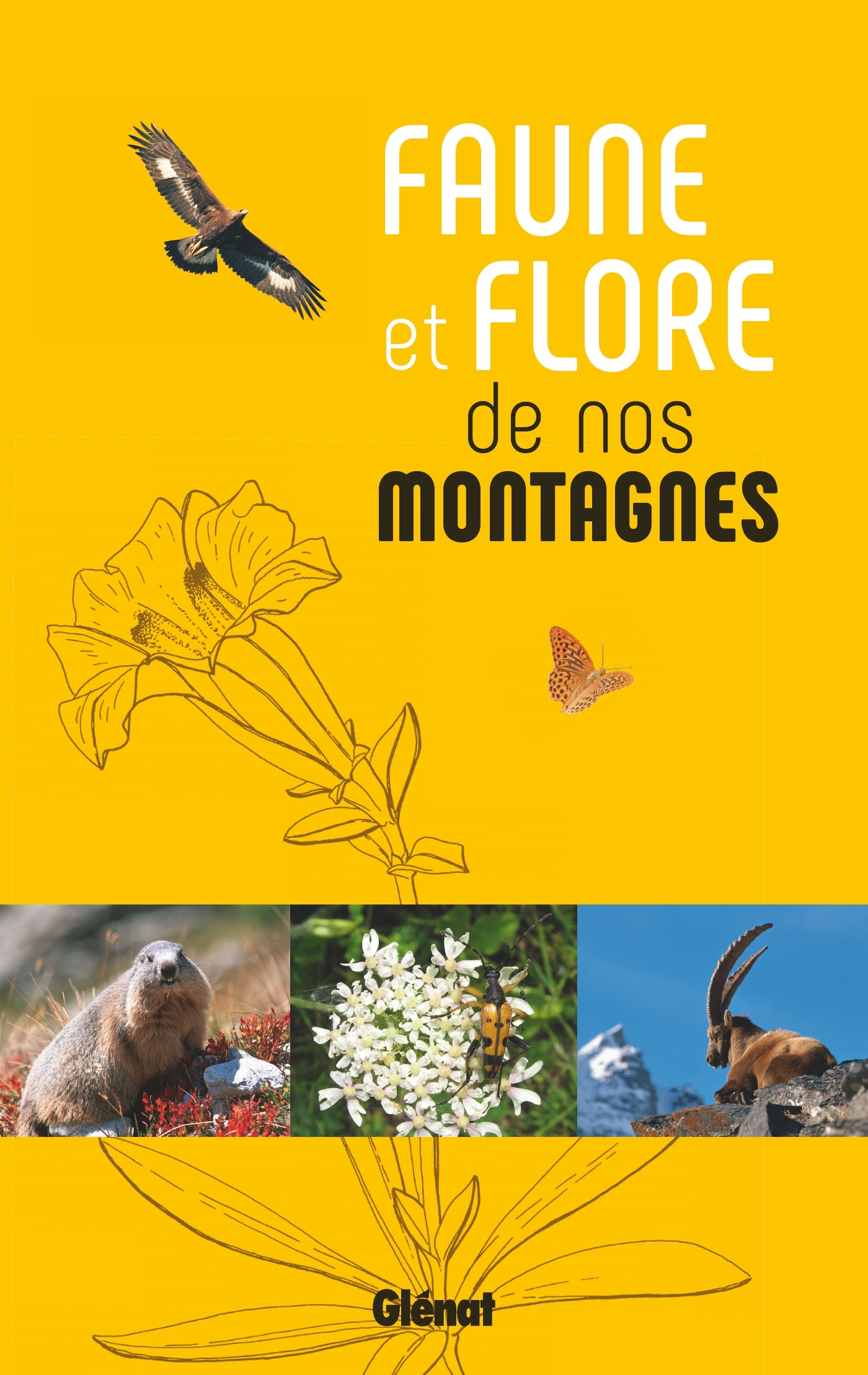 FAUNE ET FLORE DE NOS MONTAGNES - ALPES, CORSE, JURA, MASSIF CENTRAL, PYRENEES, VOSGES