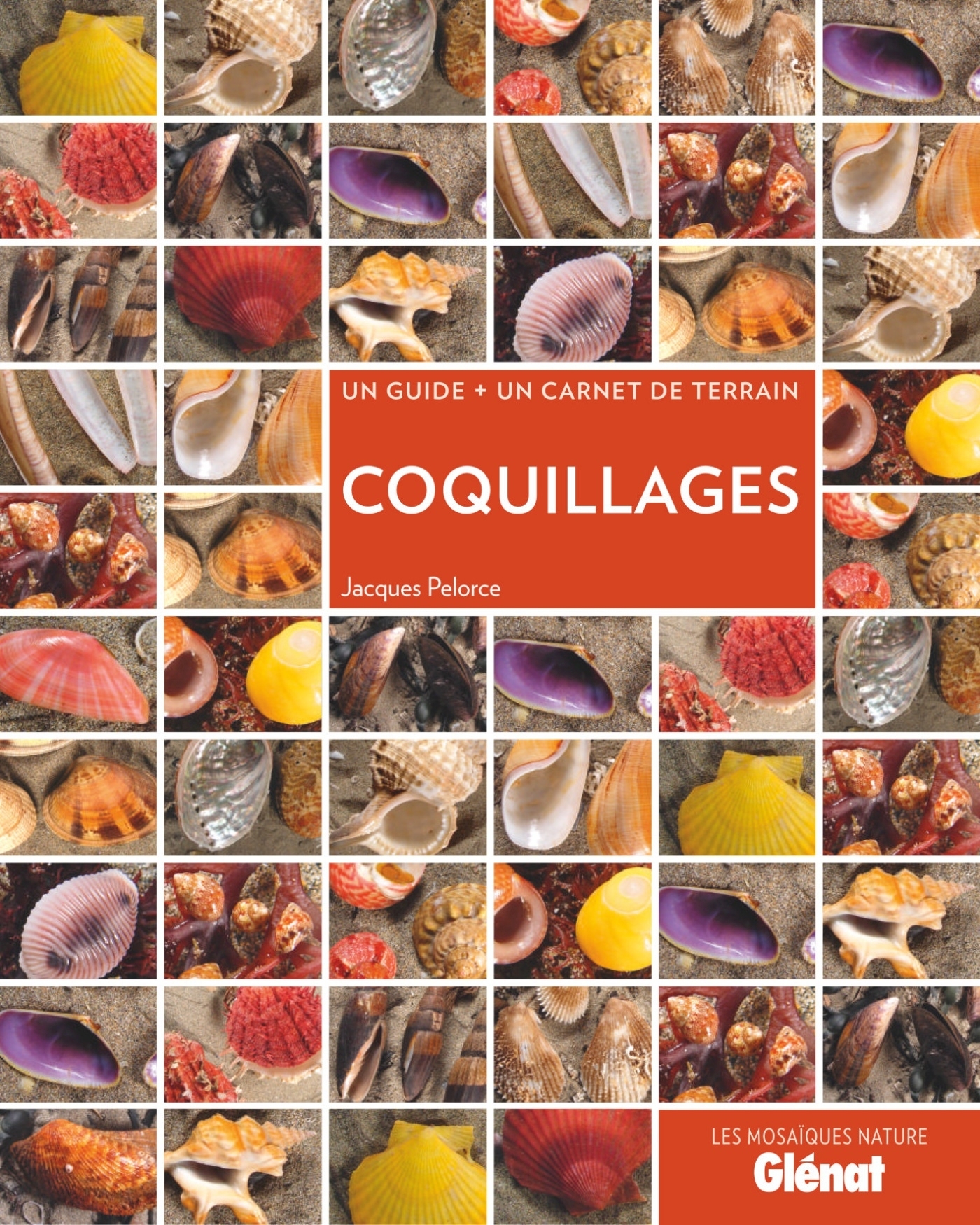 COQUILLAGES