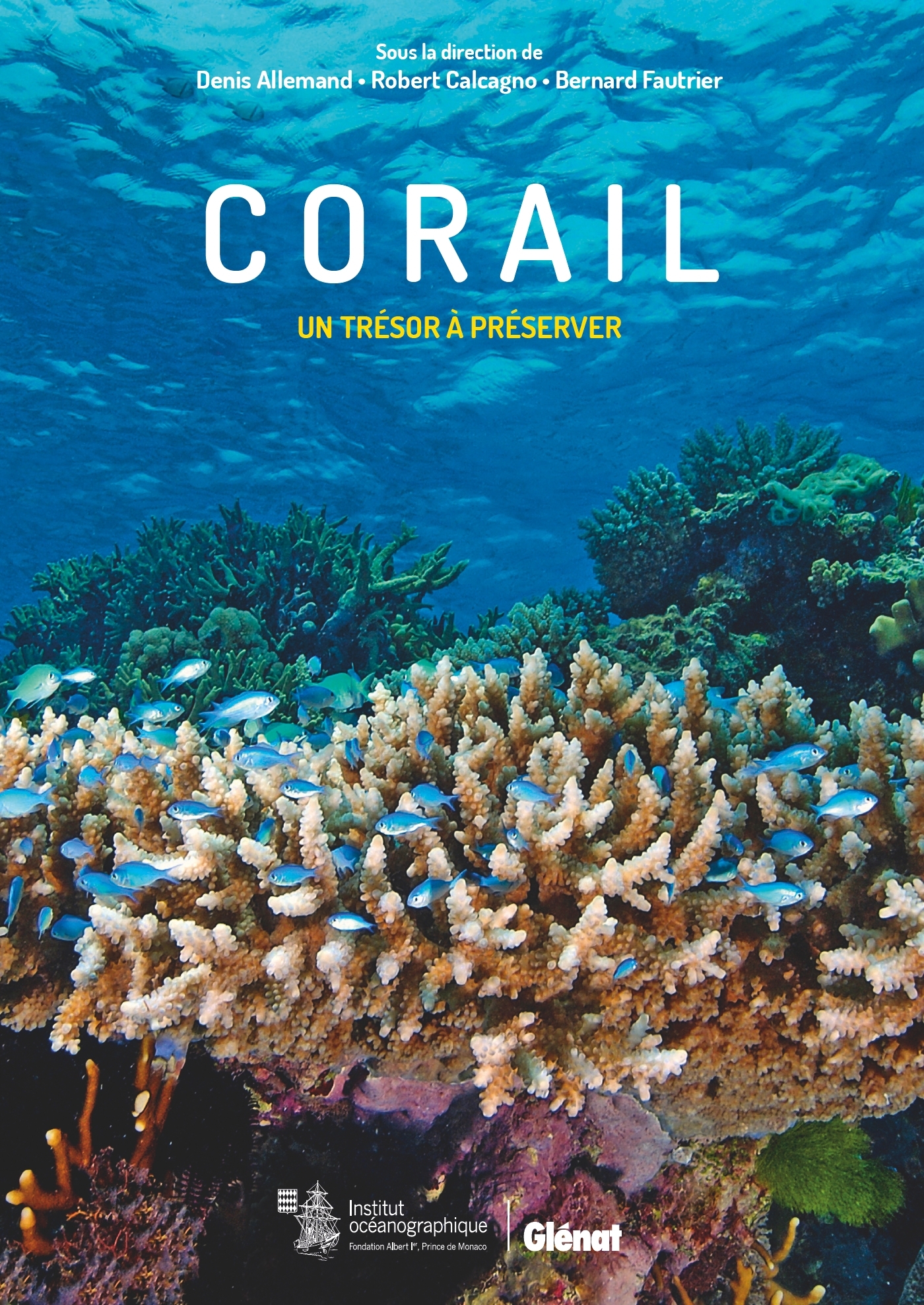 CORAIL - UN TRESOR A PRESERVER